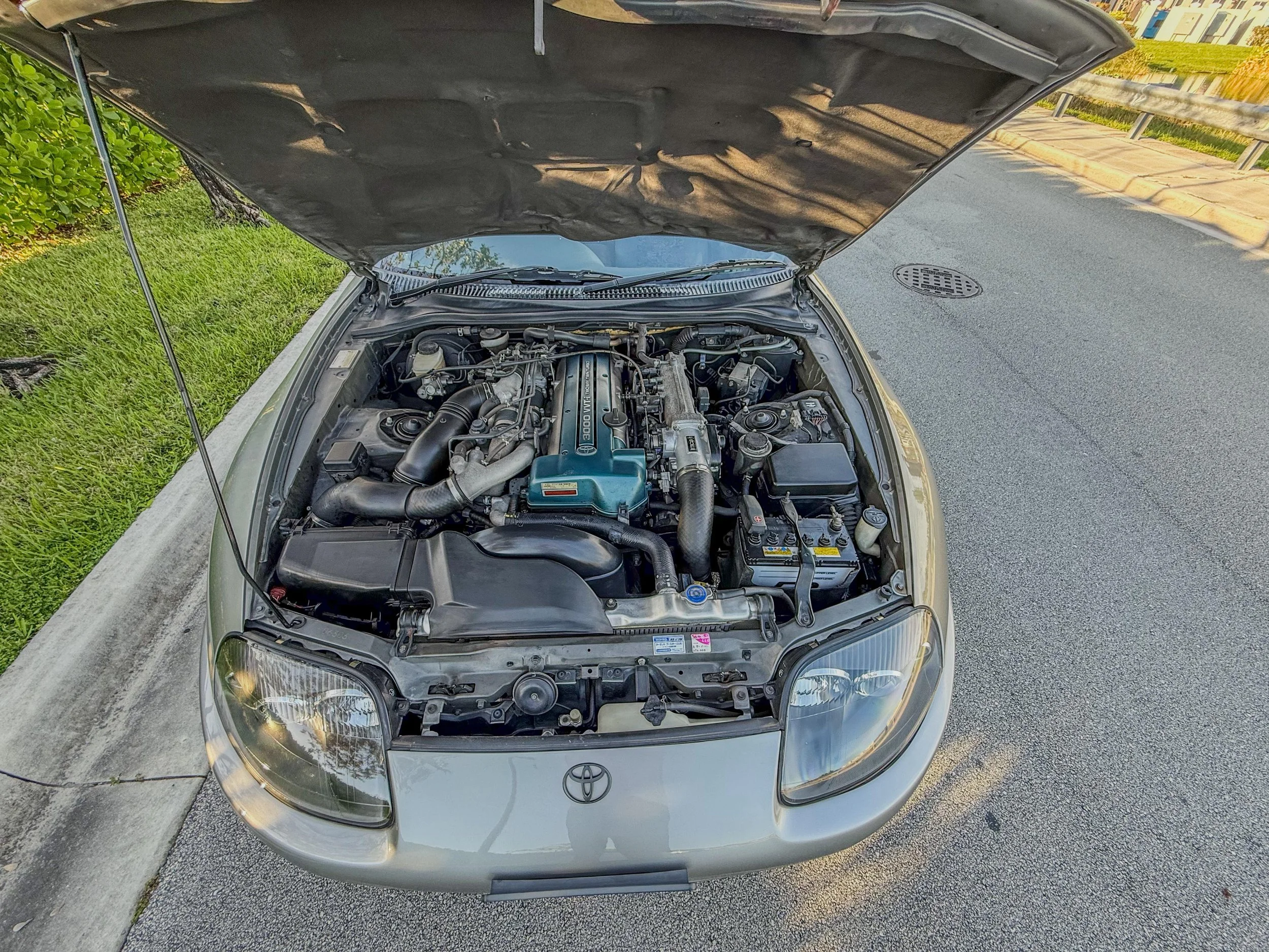 WhatsApp Image 2025-09-29 at 20.15.04 (6).jpeg