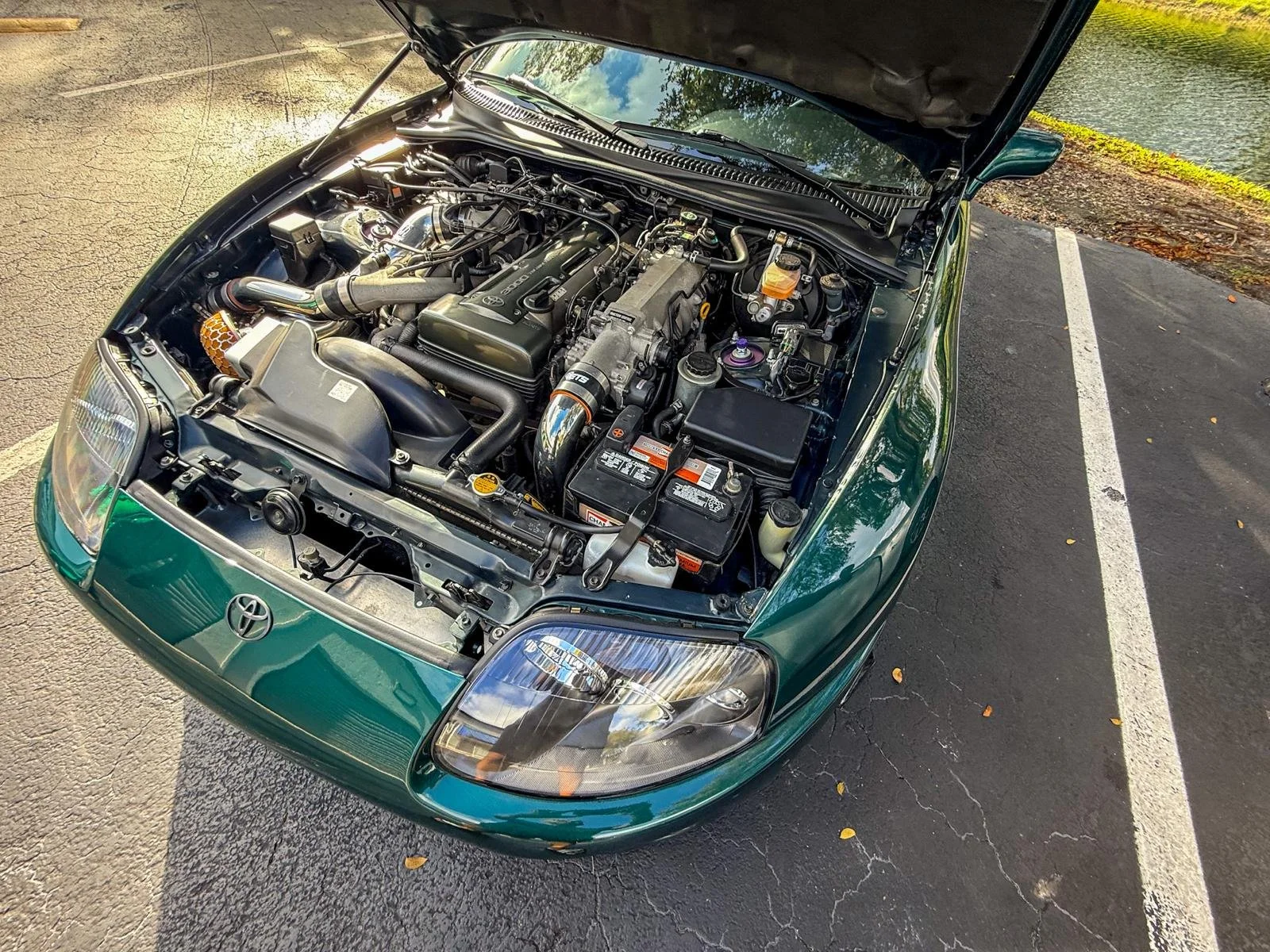 WhatsApp Image 2026-04-01 at 09.46.27.jpeg