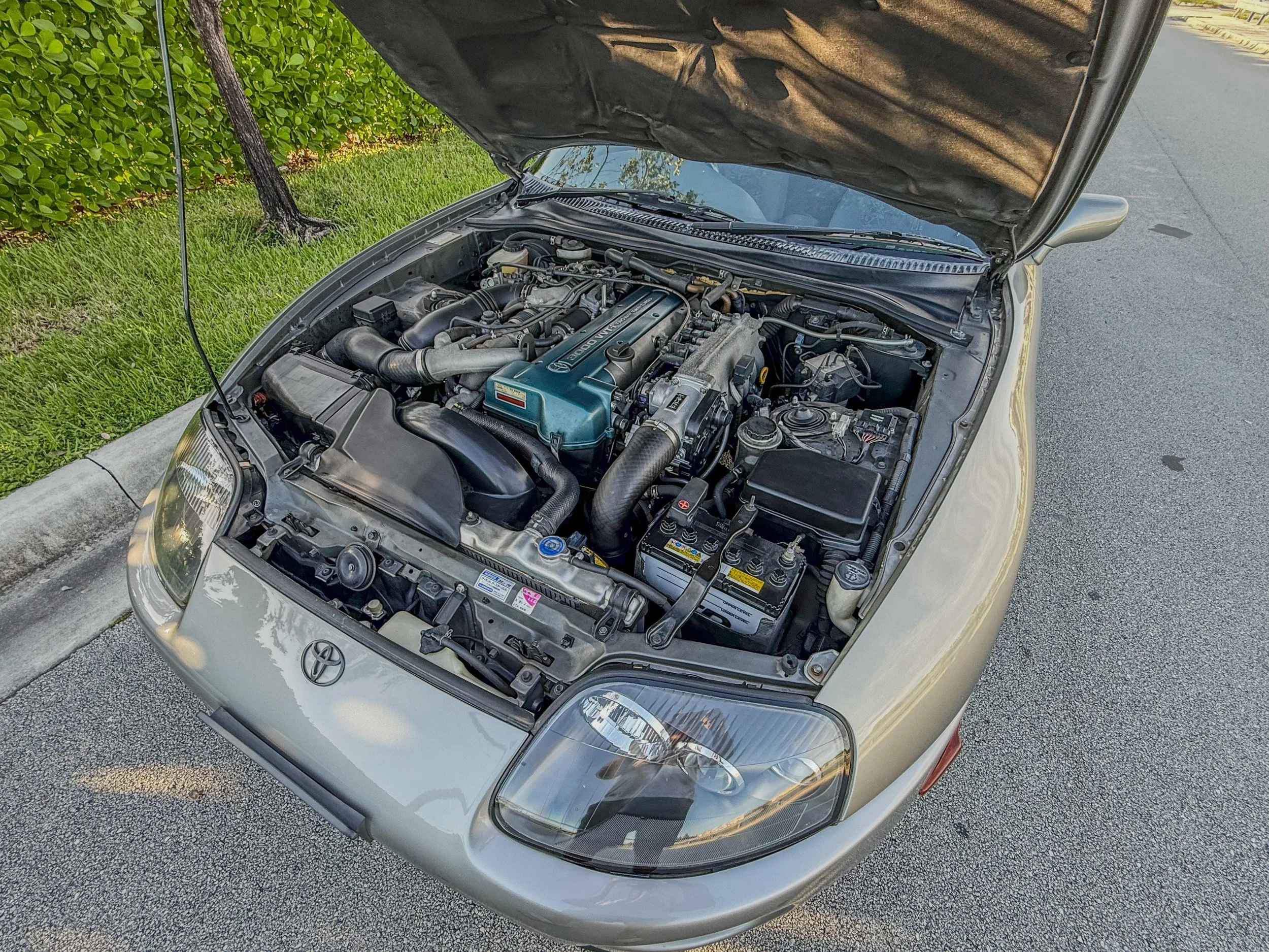 WhatsApp Image 2025-09-29 at 20.15.04 (5).jpeg