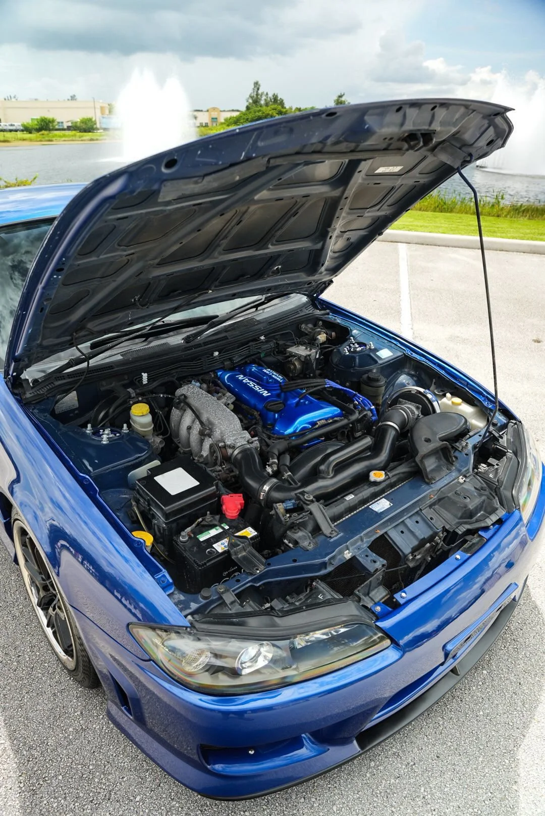 WhatsApp Image 2024-10-01 at 12.53.41.jpeg