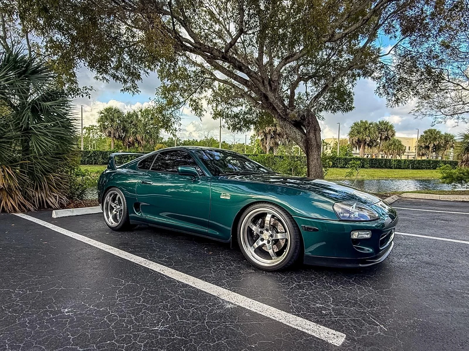 WhatsApp Image 2026-04-01 at 09.46.34 (25).jpeg