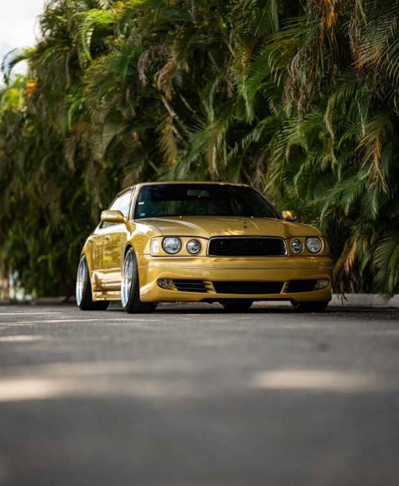 WhatsApp Image 2026-04-17 at 11.08.25 (1).jpeg