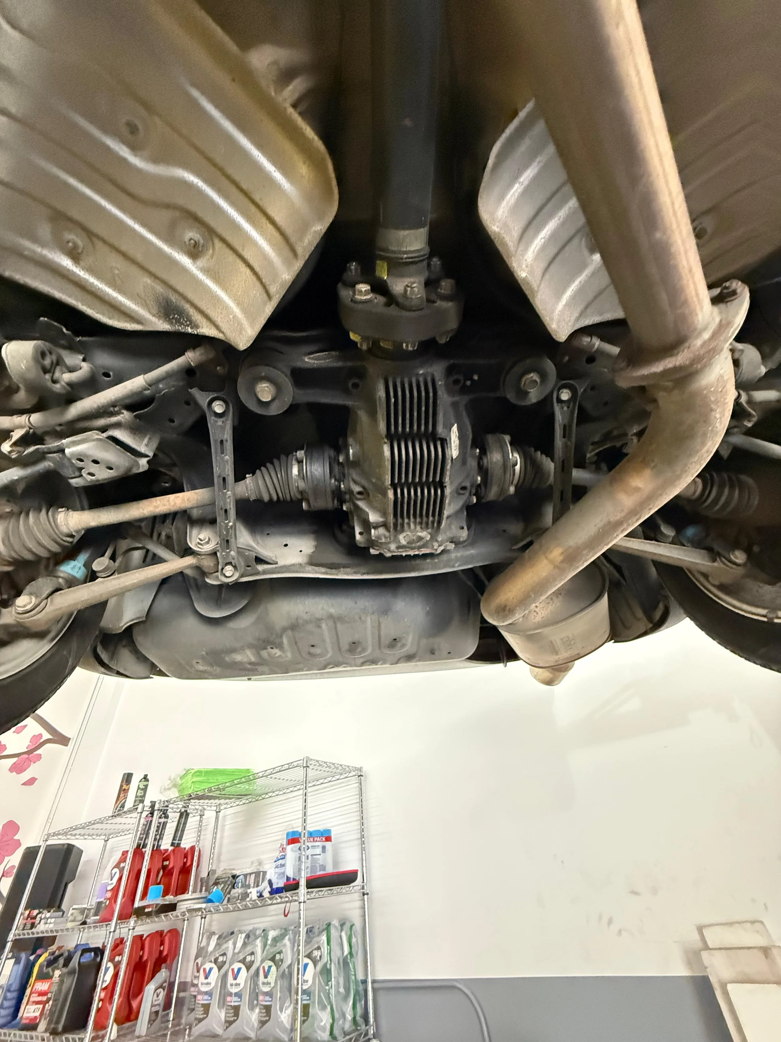 WhatsApp Image 2025-09-29 at 20.15.07 (1).jpeg