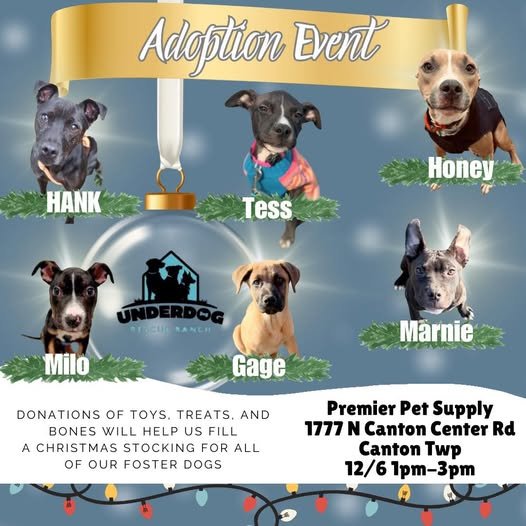 Adoption Event & Fill Our Christmas Stocking