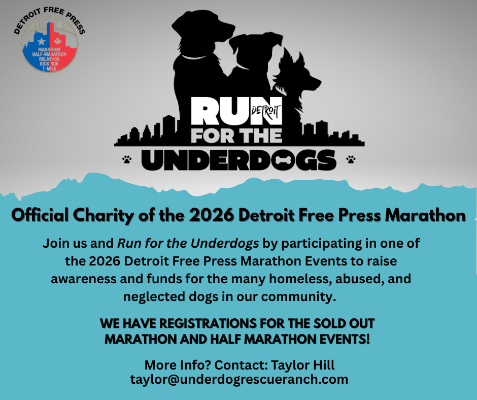 Run For The Underdogs Detroit Marathon