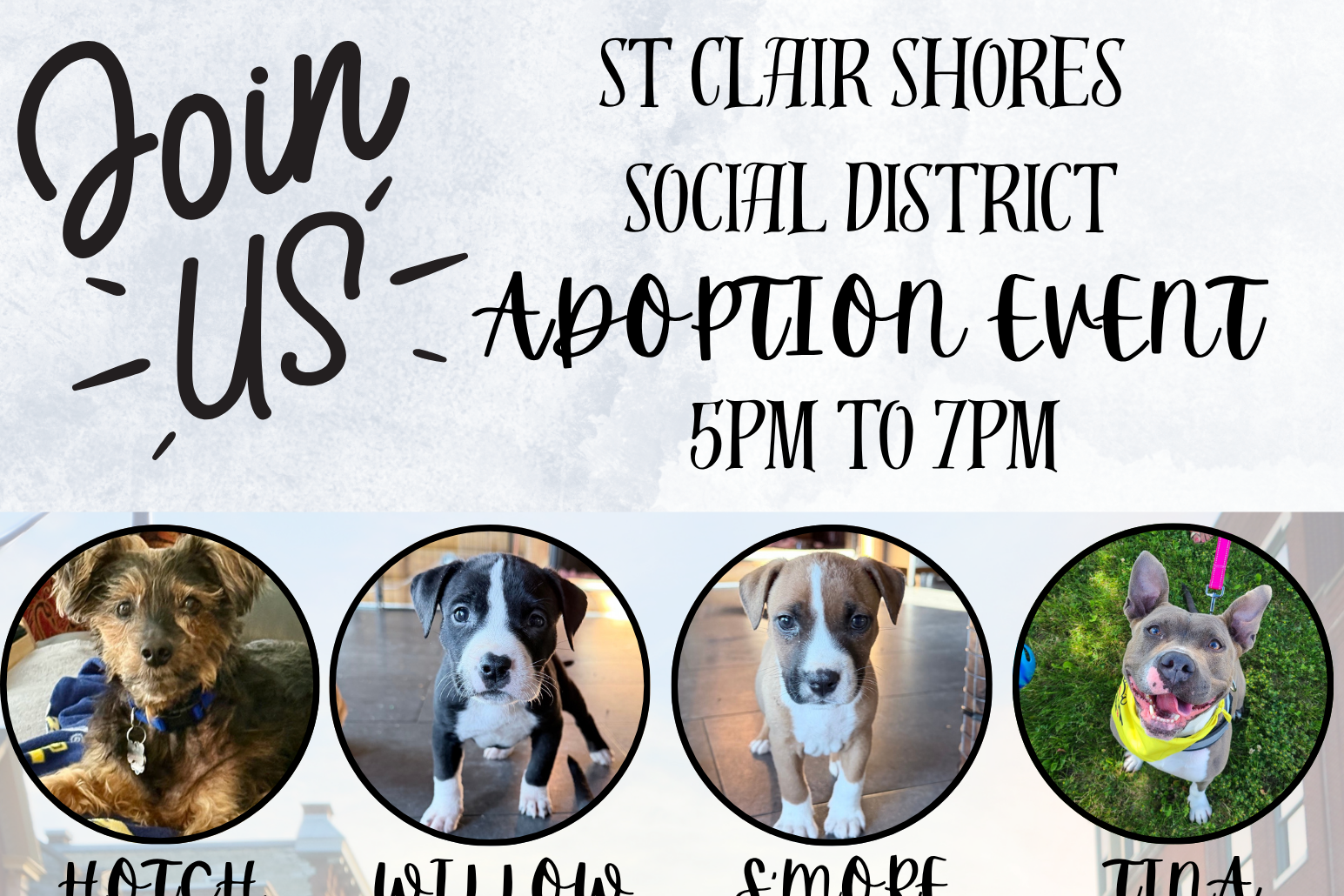 St Clair Shores Social District Adoption Event