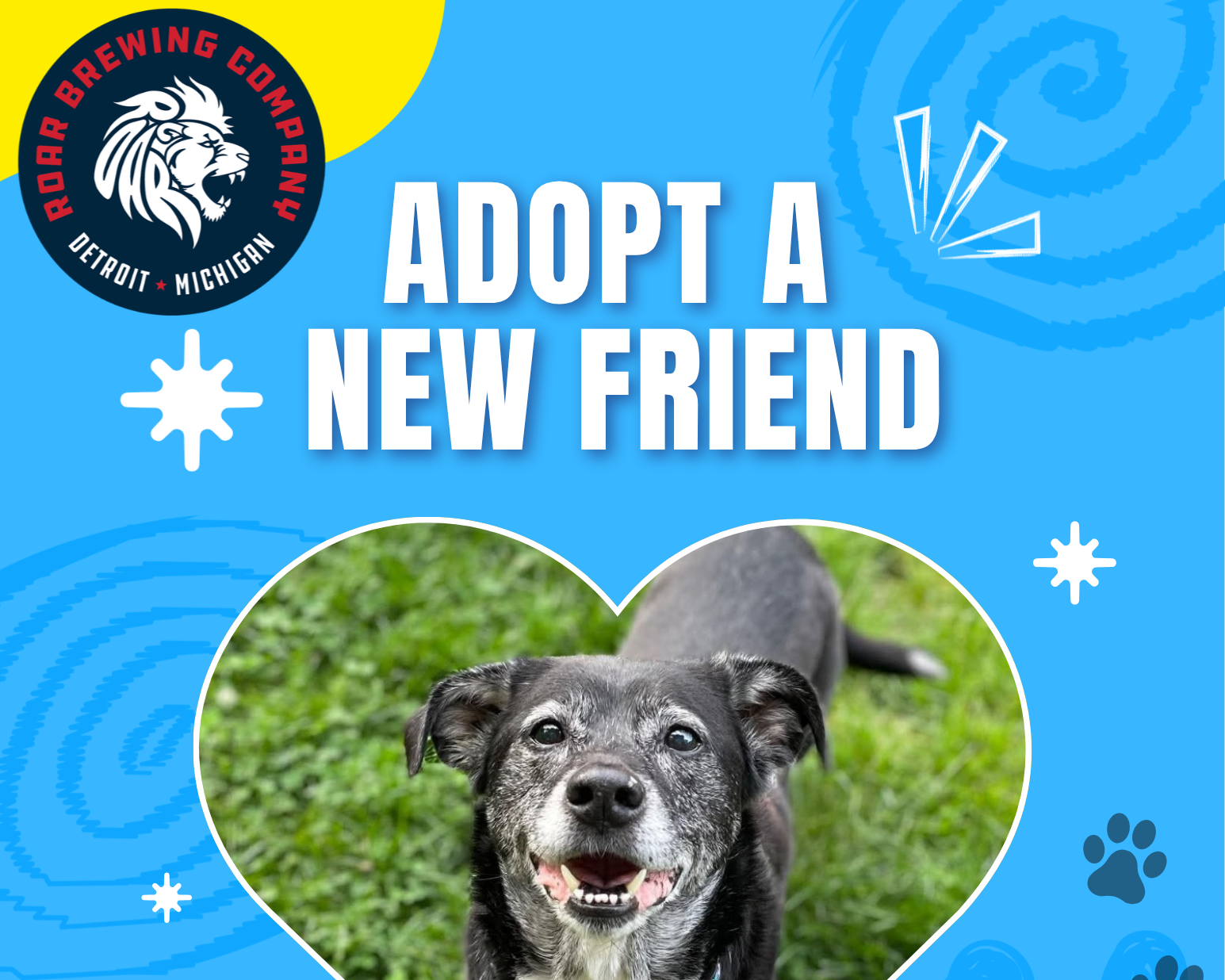 Roar Brewing Adoption Event