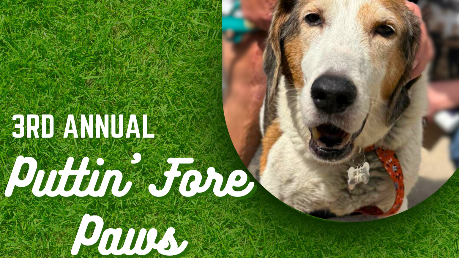 3rd Annual Puttin' Fore Paws Golf Outing