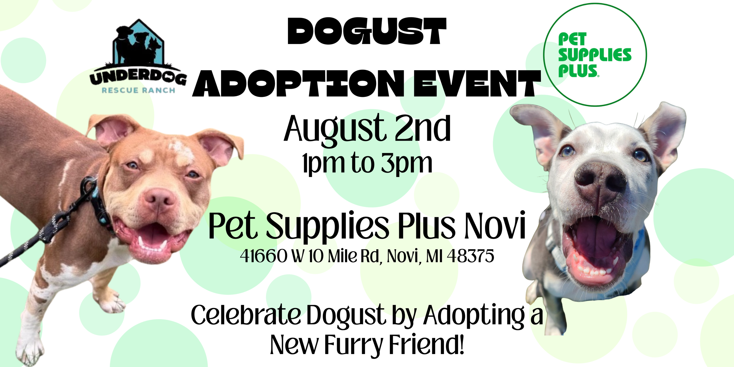 Dogust Adoption Event