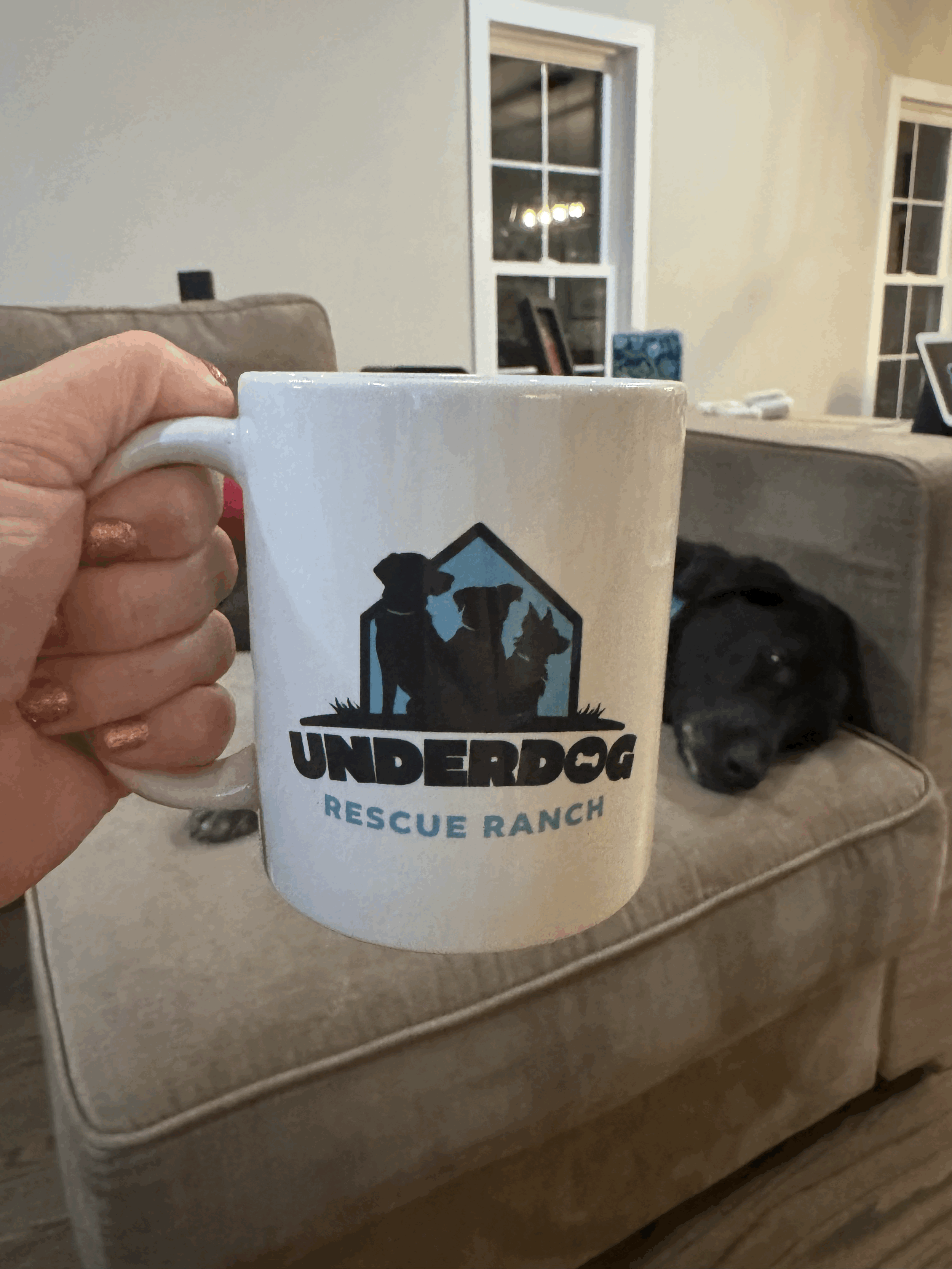 UDRR Coffee Mug