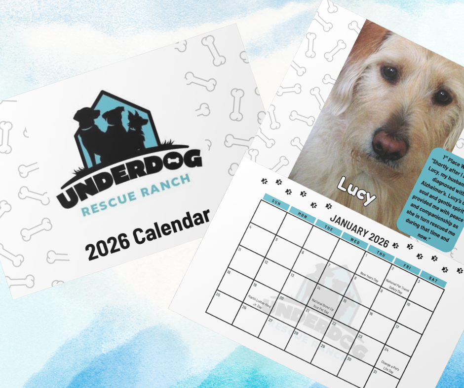 Calendar Promo (3).png