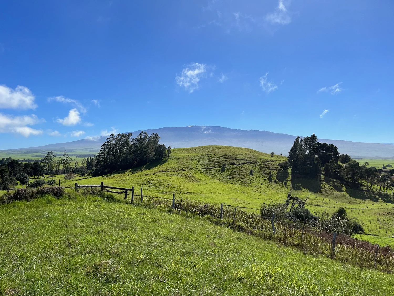 Meet James — Hustace for Council