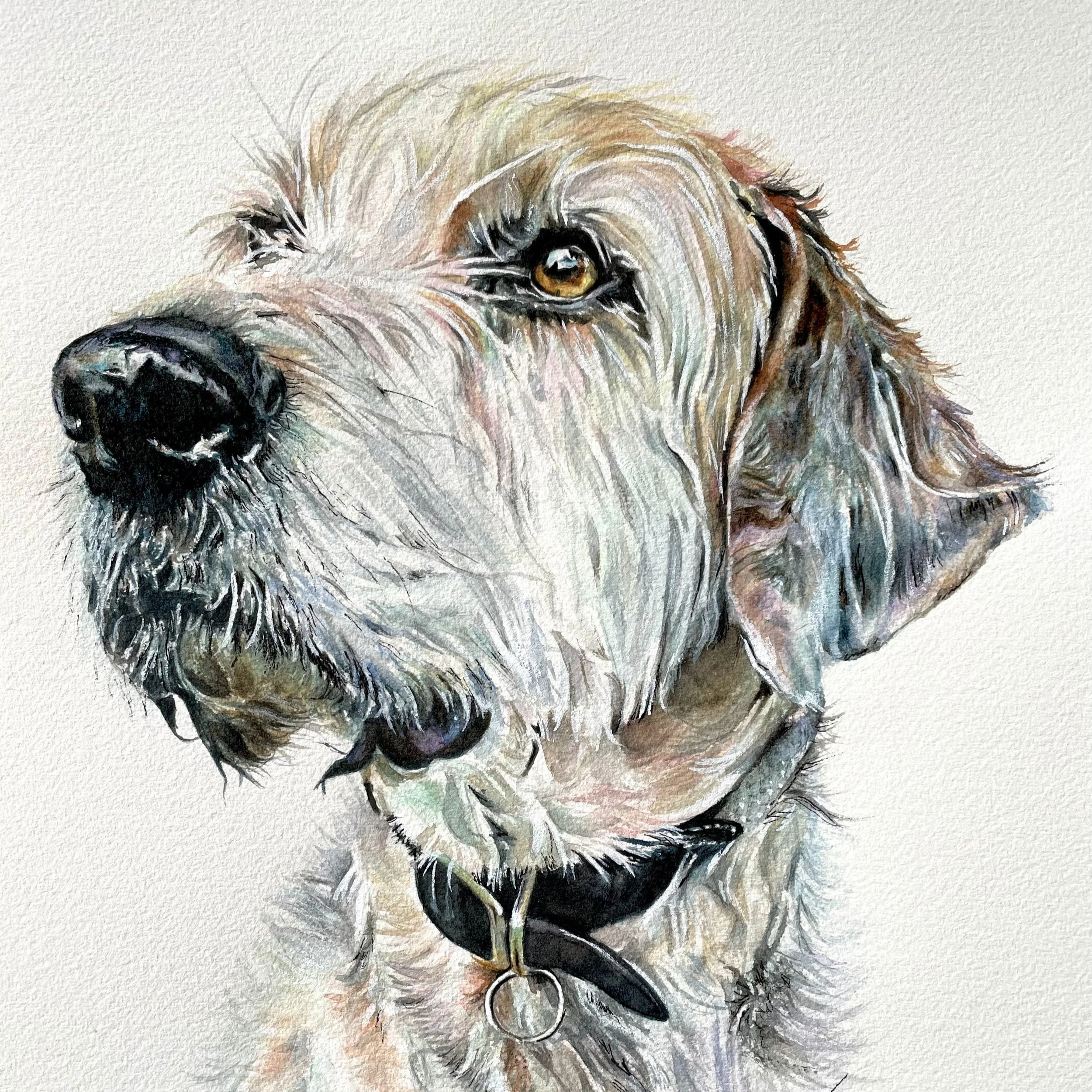 9x12 Inches