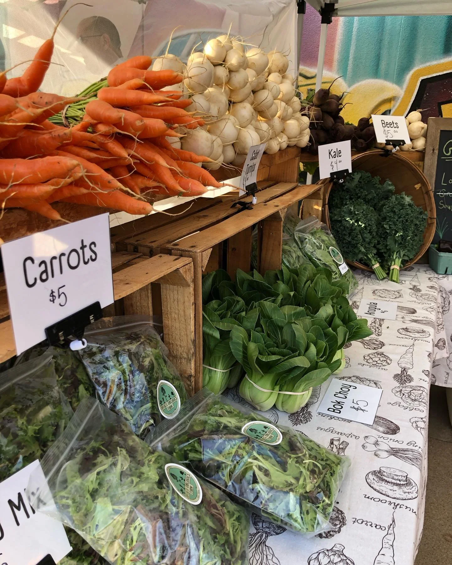 Back at the holiday market this evening! I&rsquo;ll have salad mix, kale, arugula (limited), carrots, salad turnips, bok choy, zucchini, and peppers (bell, poblano, sweet, &amp; Anaheim) with me. No tomatoes this week but I&rsquo;ll have more next Tu