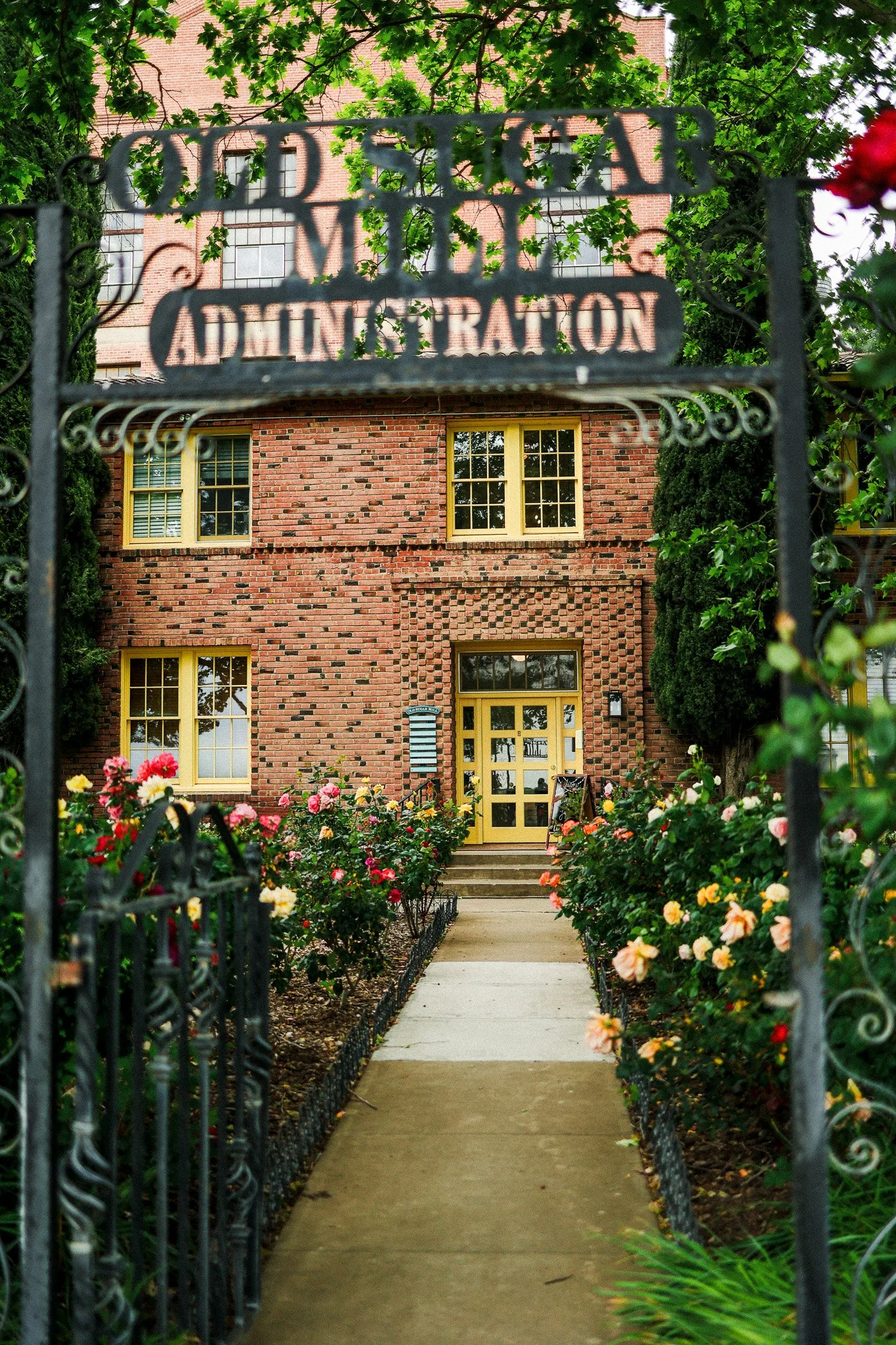 Brick building with yellow doors and windows, surrounded by a garden of colorful roses, viewed through a decorative iron gate with a sign that reads 'Old Singer Mansion Administration'.