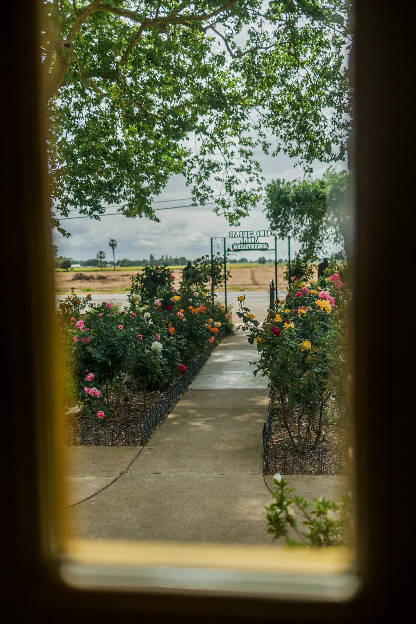 View of a flower garden with a walkway leading to a gate, framed by a window with trees and a field in the background.