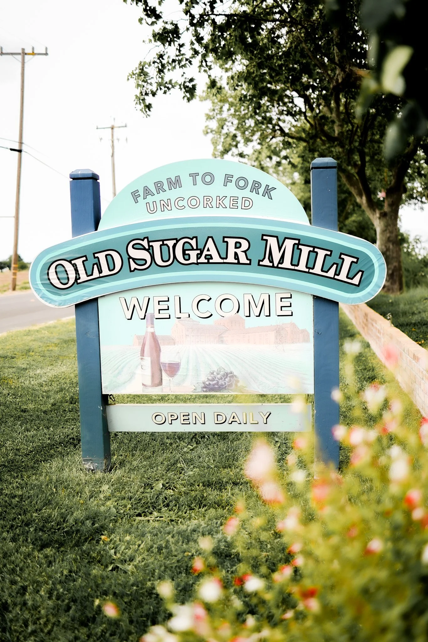 Signboard for Old Sugar Mill farm, welcoming visitors, indicating they can farm to fork with uncorked products, and noting it is open daily. The sign is outdoors with trees and greenery in the background.