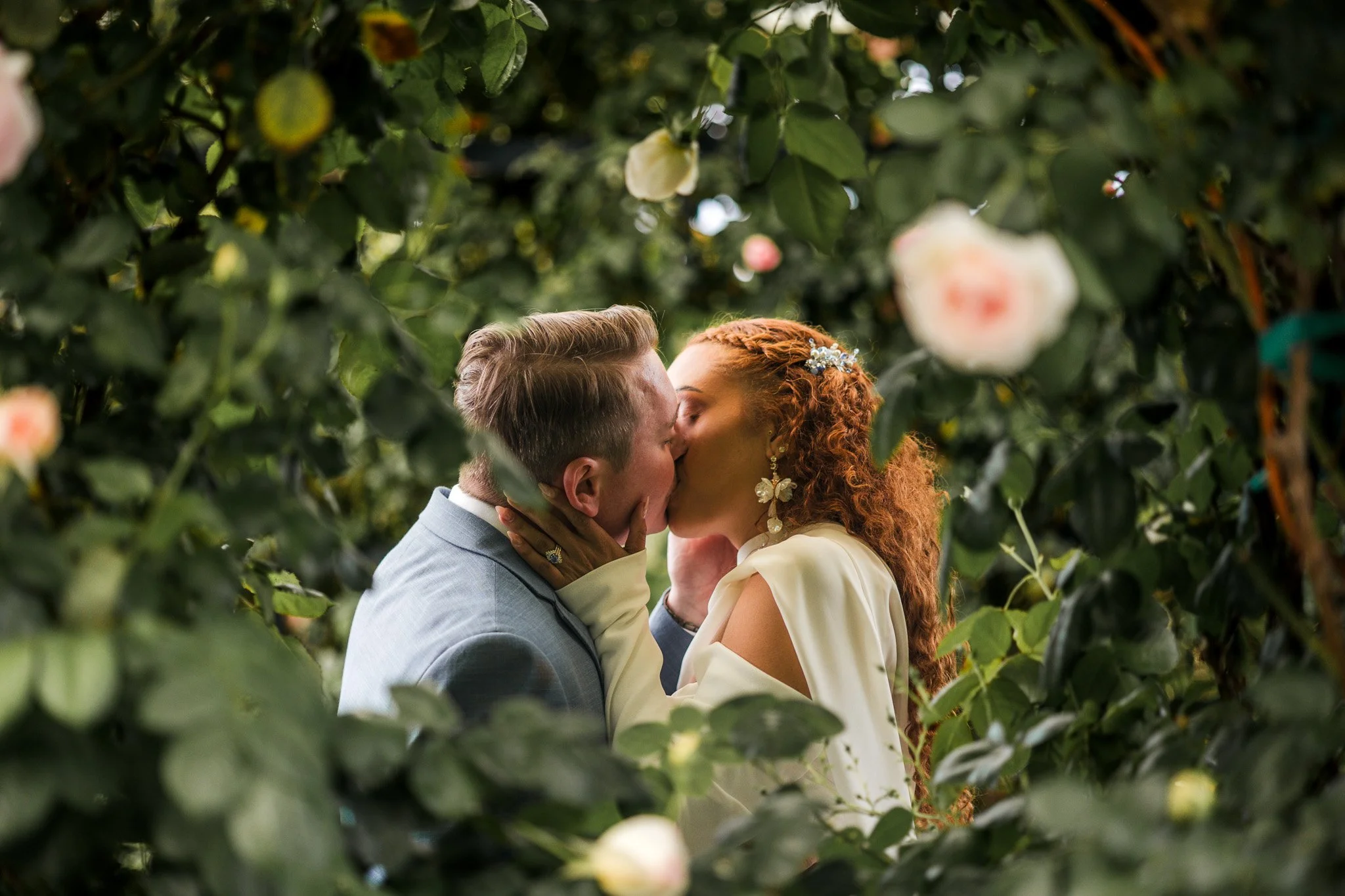 A bride and groom kissing among green foliage and blooming white and pink roses.