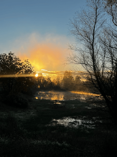 Why FAITH Moves Mountains