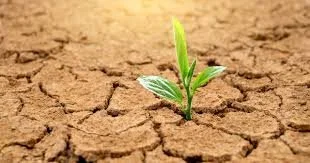 What is the Provision You Need Tomorrow?