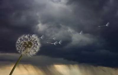 The Power of Calming the Storm