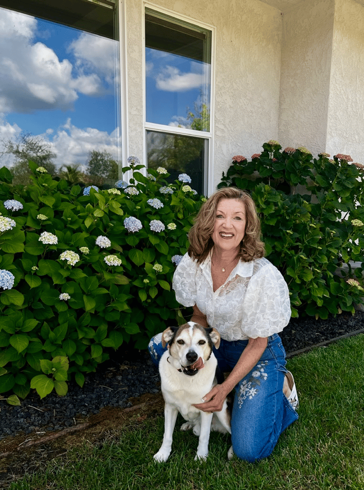 The Story of My Hydrangea Blossoms