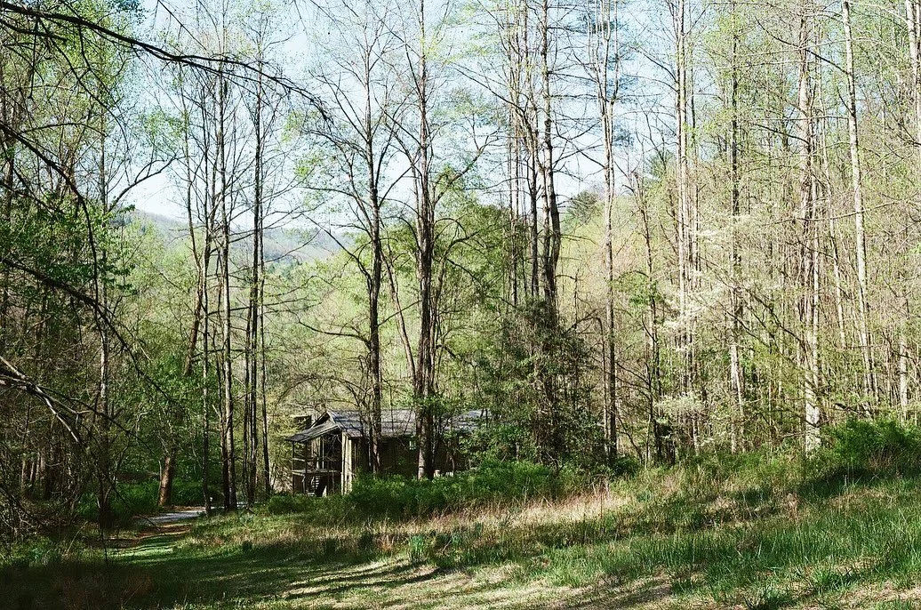 my EP &quot;at garden studio&quot; is out today. this is the porch where I spent a lot of my time working on that music (ft. the wood thrushes, a wild turkey, and all the other forest critters that sang their own songs). now up on Bandcamp and stream