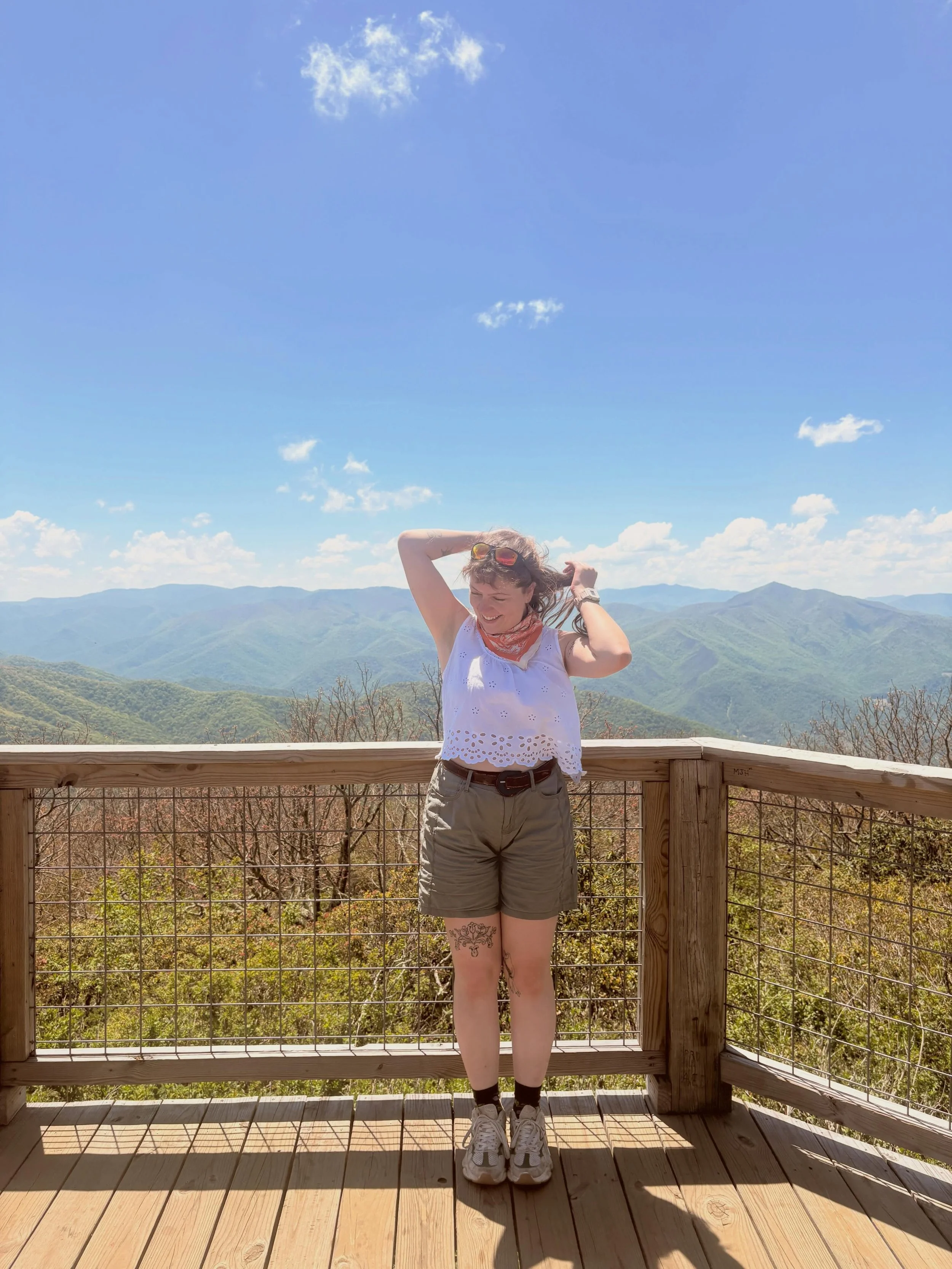 blue ridge ⛰️