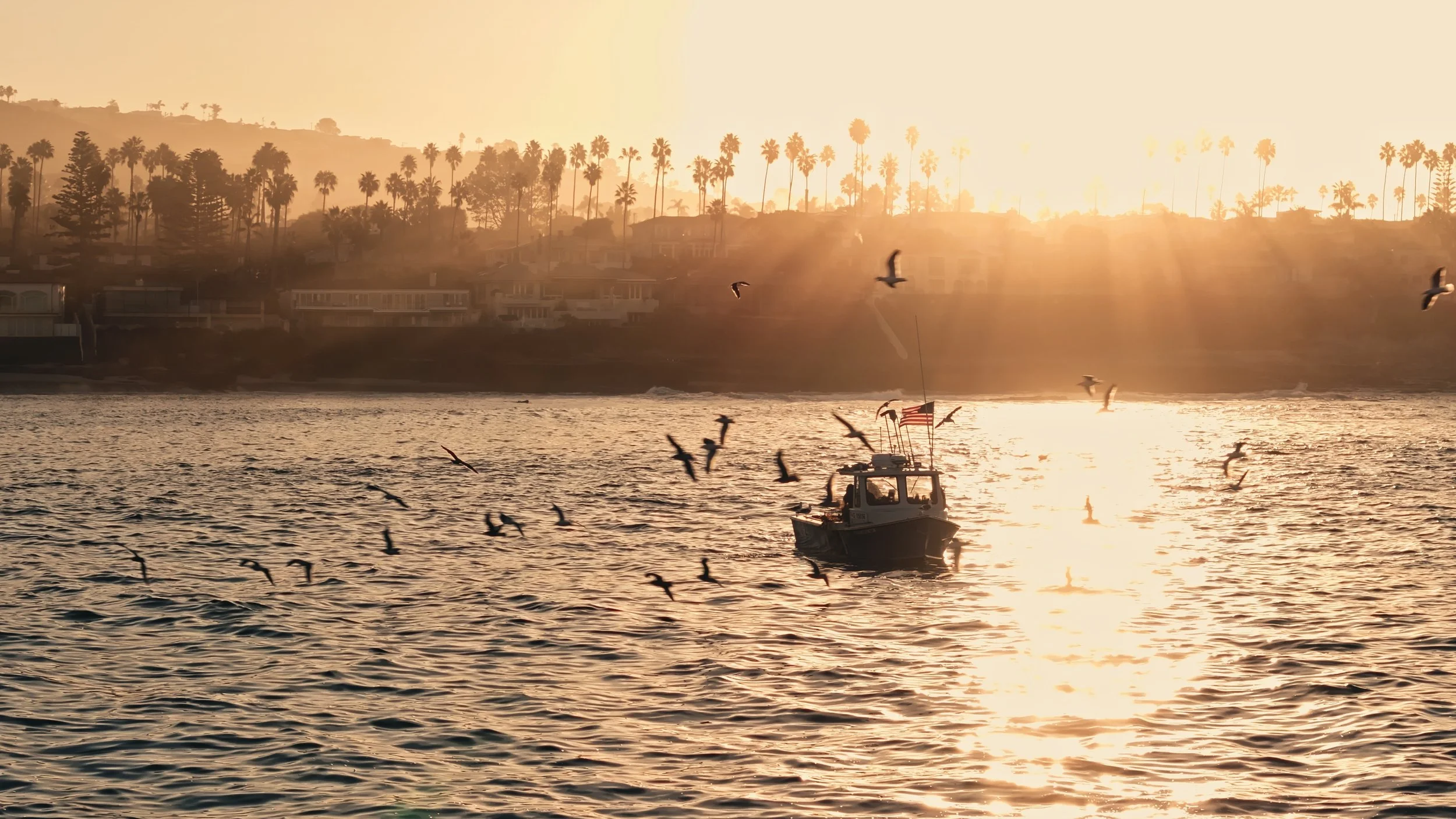 Still 2026-03-20 140623_3.6.1.jpg