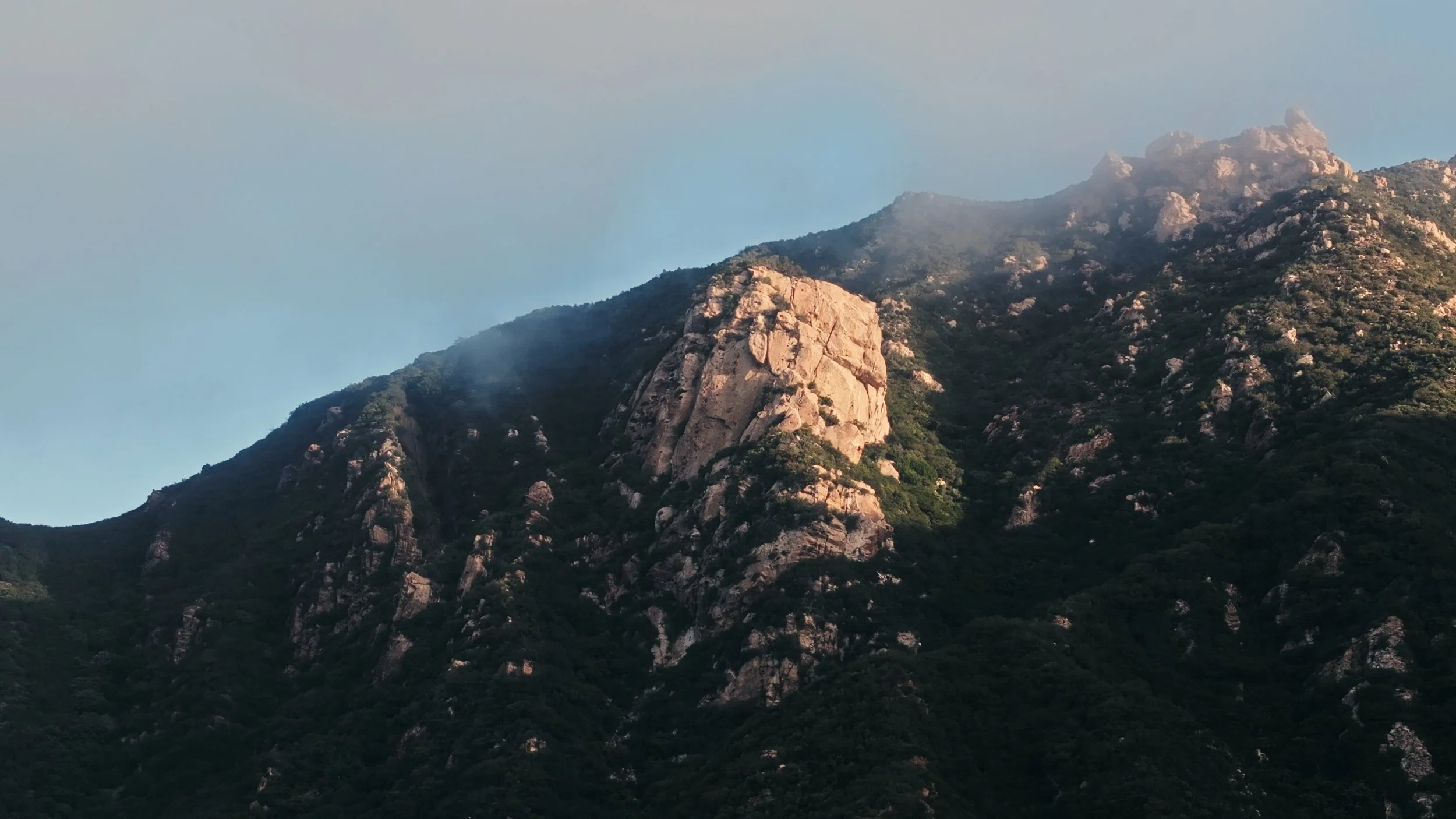 Still 2026-03-20 140551_1.5.1.jpg