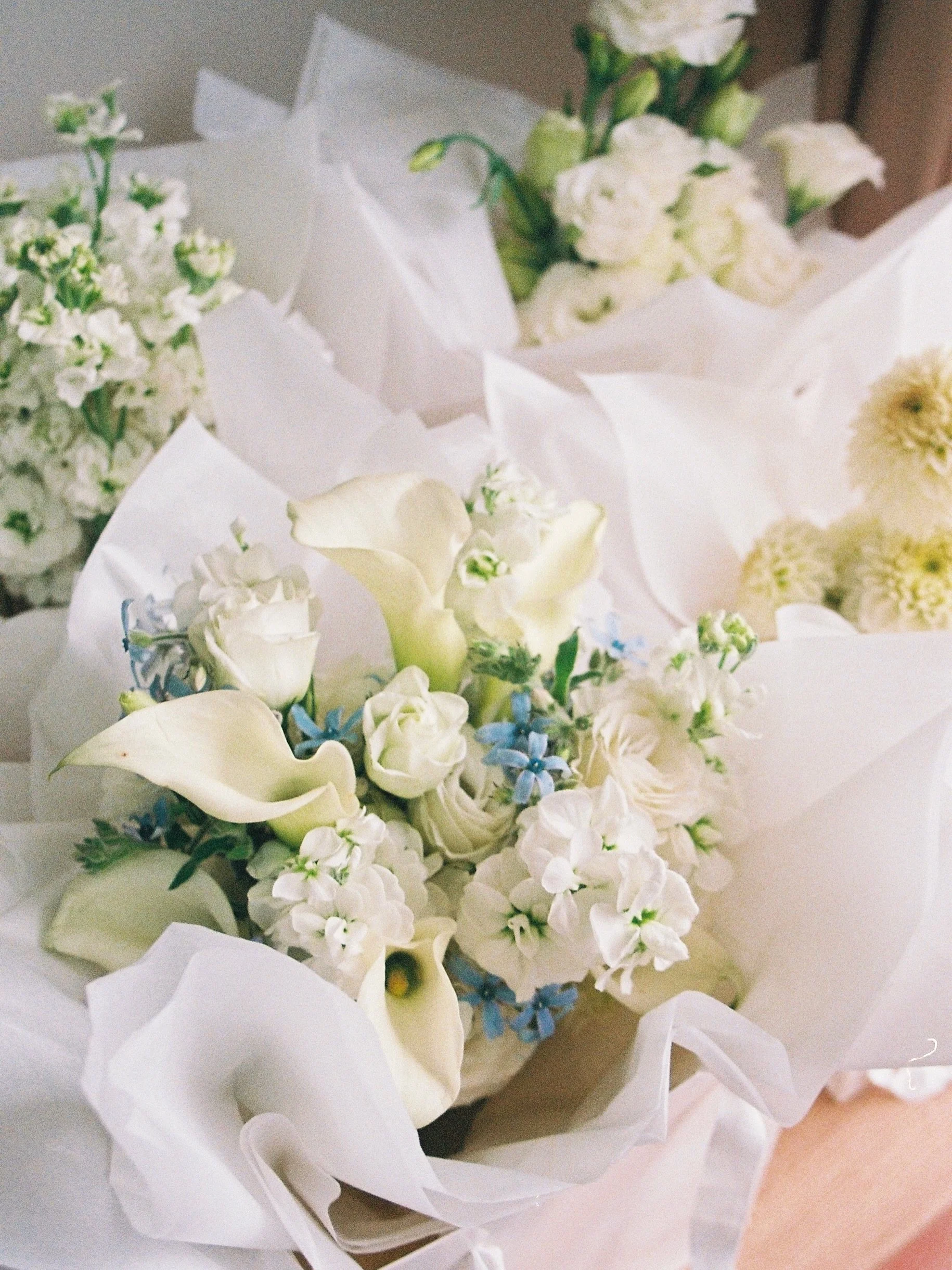 Nothing makes me happier than when I get an email saying my film is ready! 

Photos are of Hannah&rsquo;s Wedding florals back in March, these were so dreamy 🤍🤍🤍 

#weddingflorist #wellingtonweddings #bridal #nzflorist #nzweddings