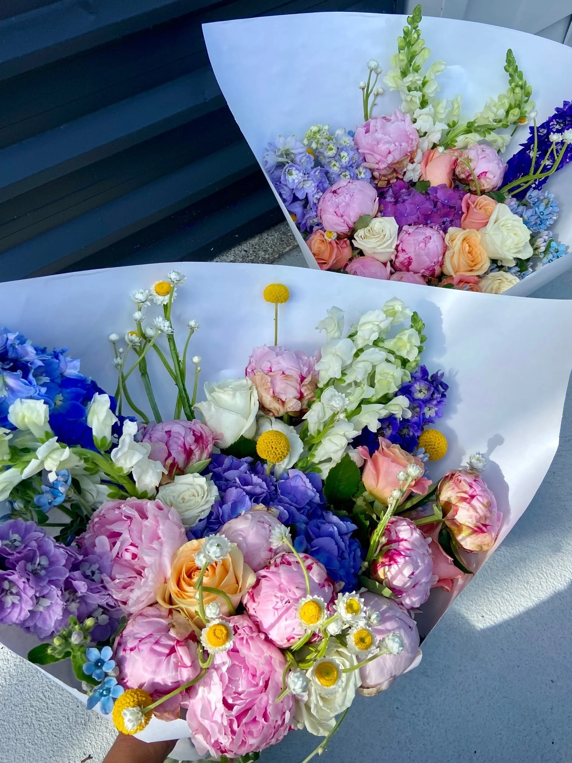 47D771A1-4A33-402A-AB20-55287760F03F