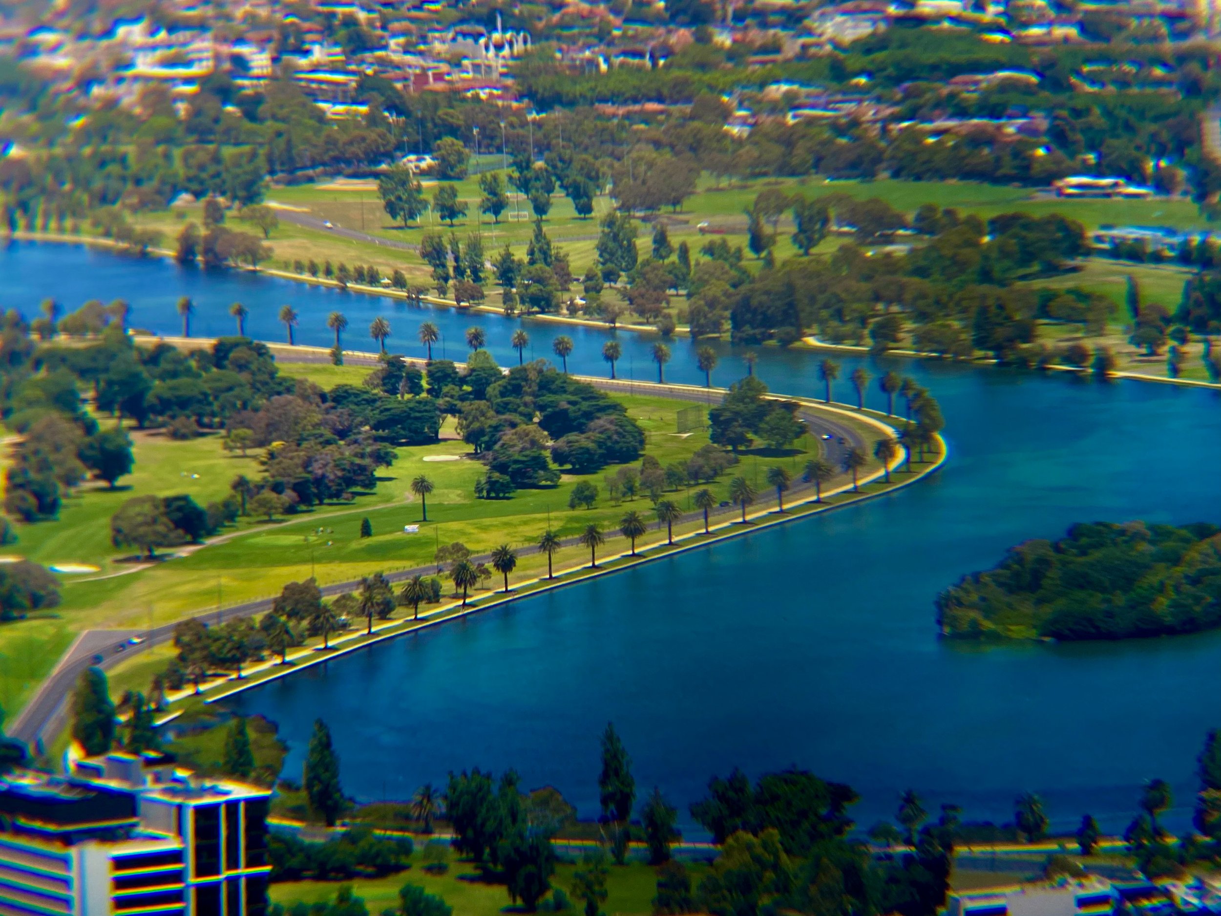 Albert Park Lake (9)