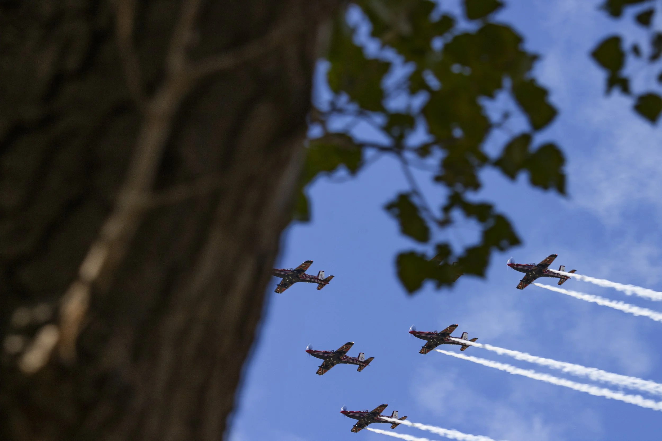 A group of airplanes flying in formation in the sky with trails behind them, viewed from below a tree with green leaves and brown bark.