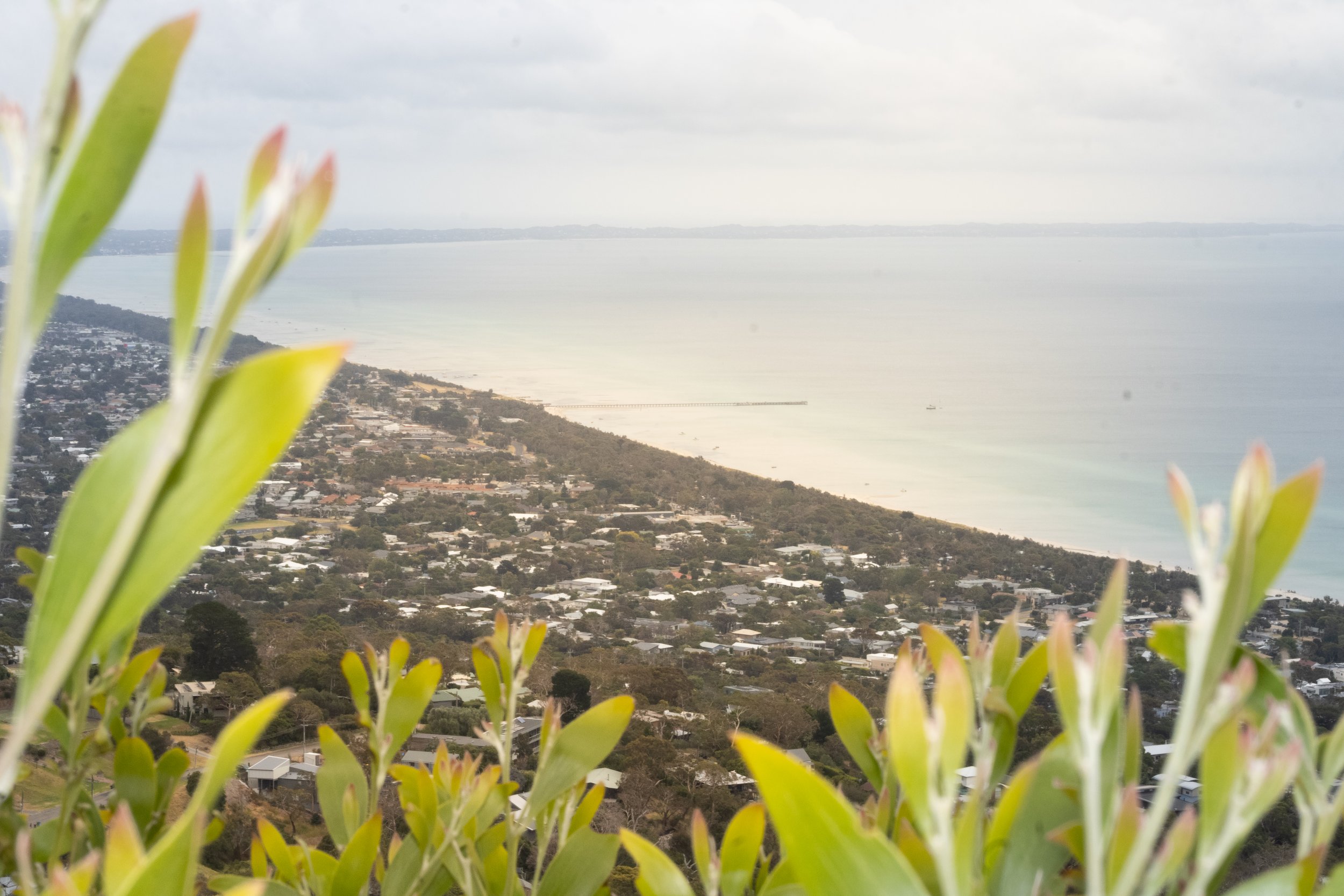 Sitting Over Rosebud