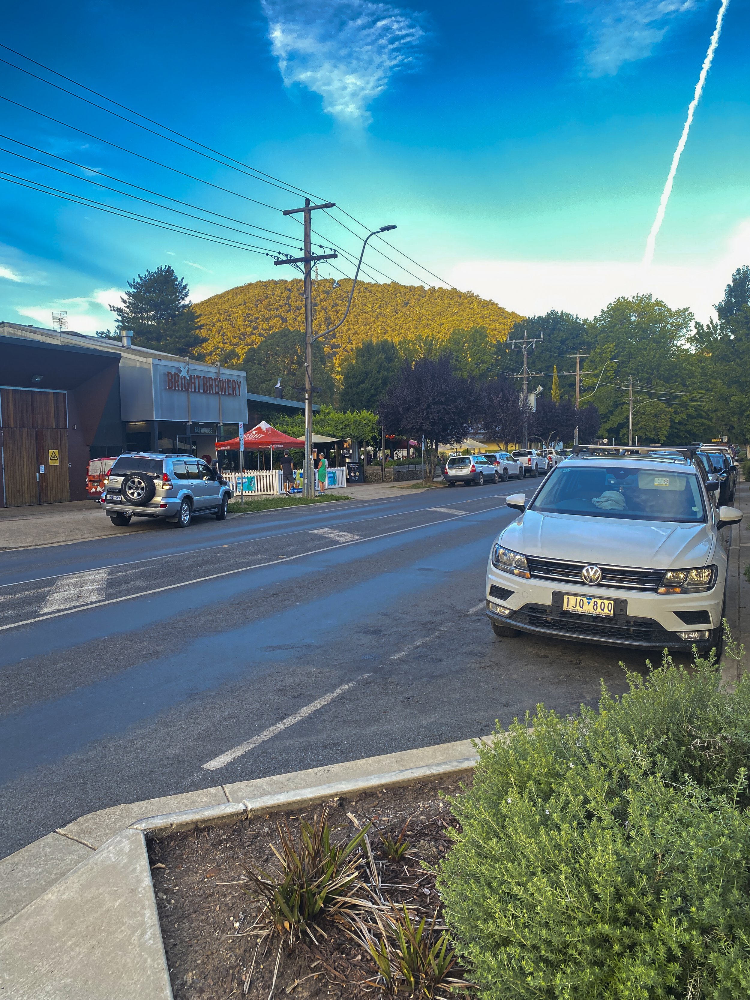 Great Alpine Road (Bright)