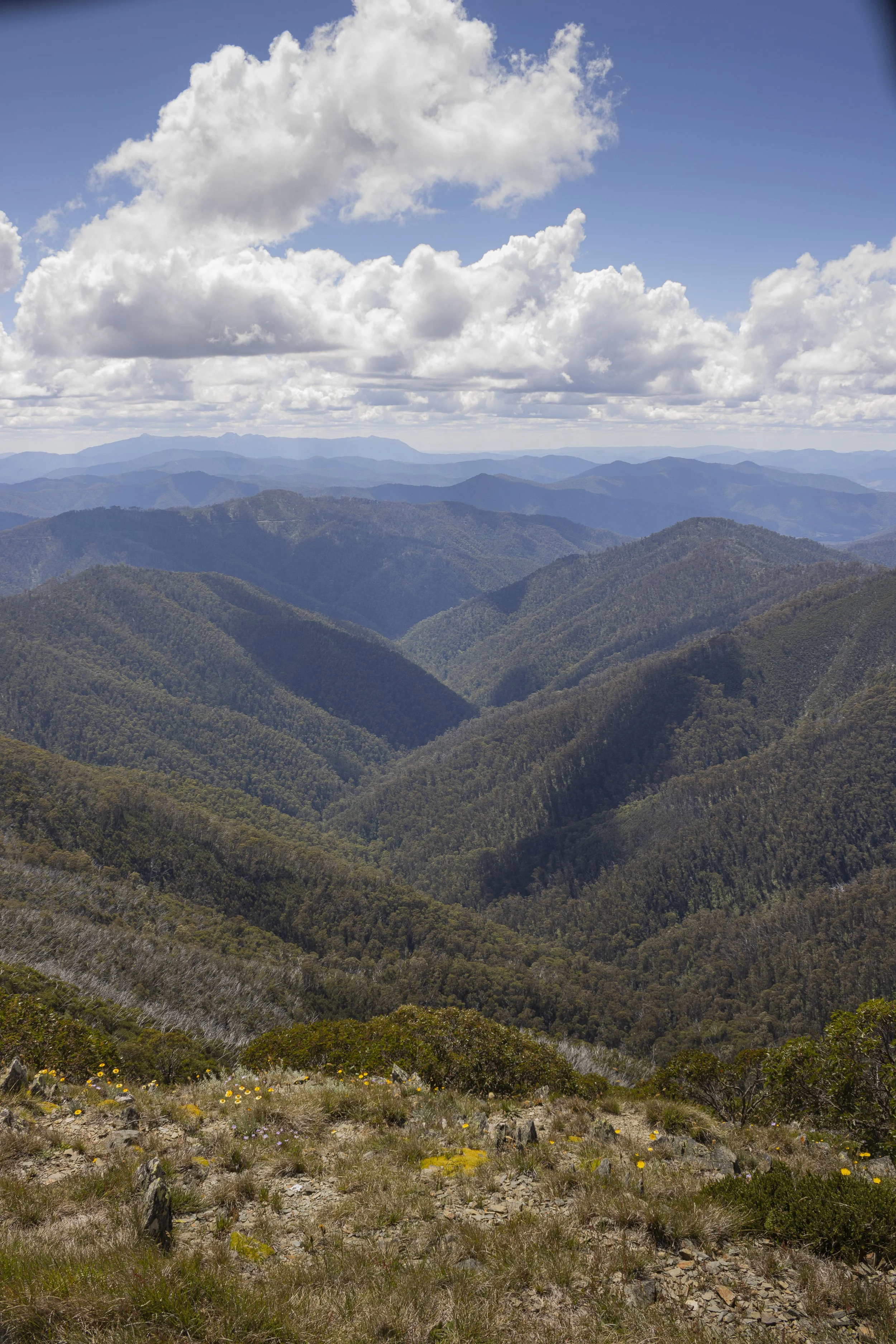 A scenic view of a mountain range with green forested slopes, partly cloudy sky, and distant blue mountains.
