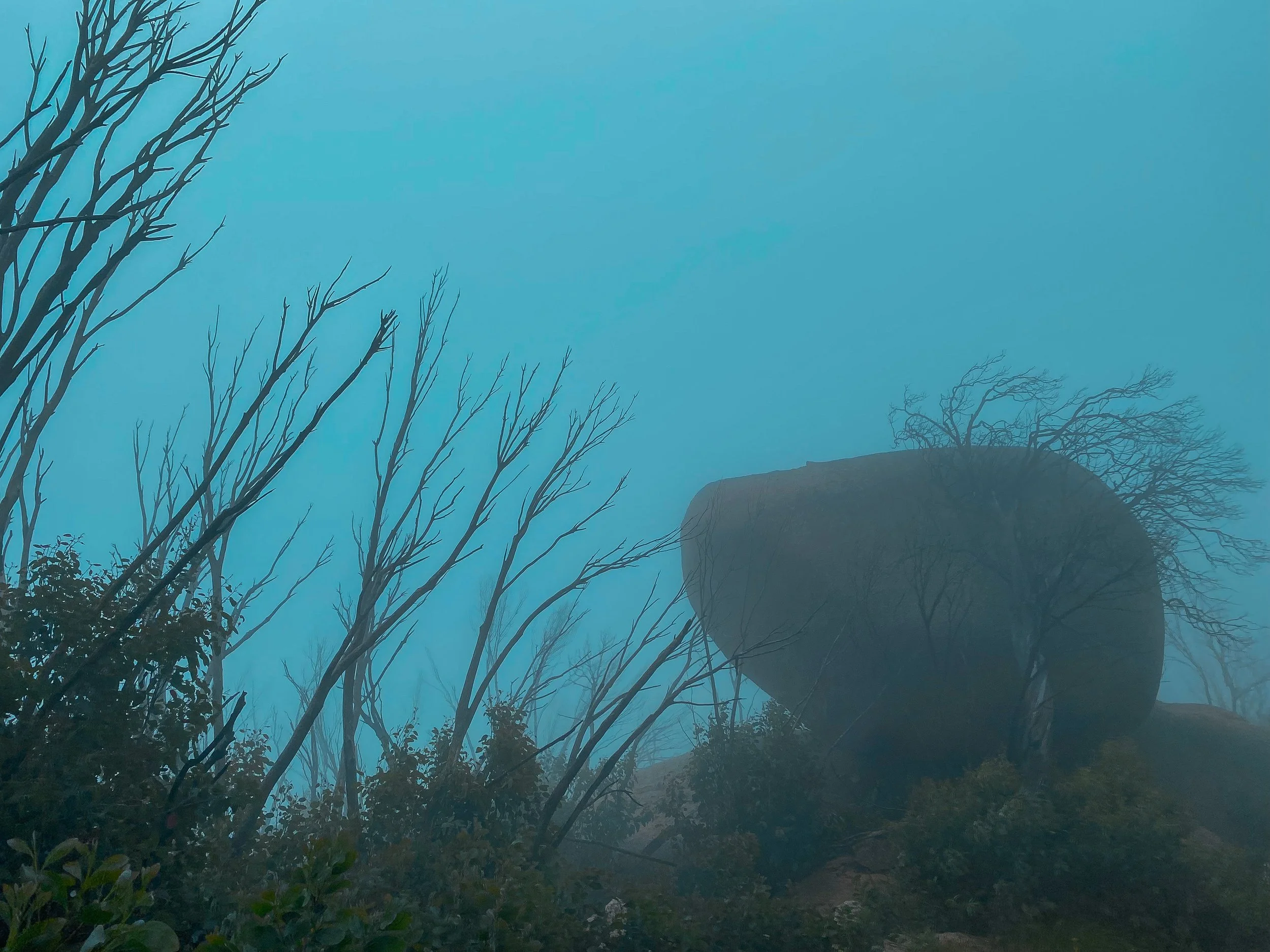 Misty Surrounds (Mt Buffalo) (2)
