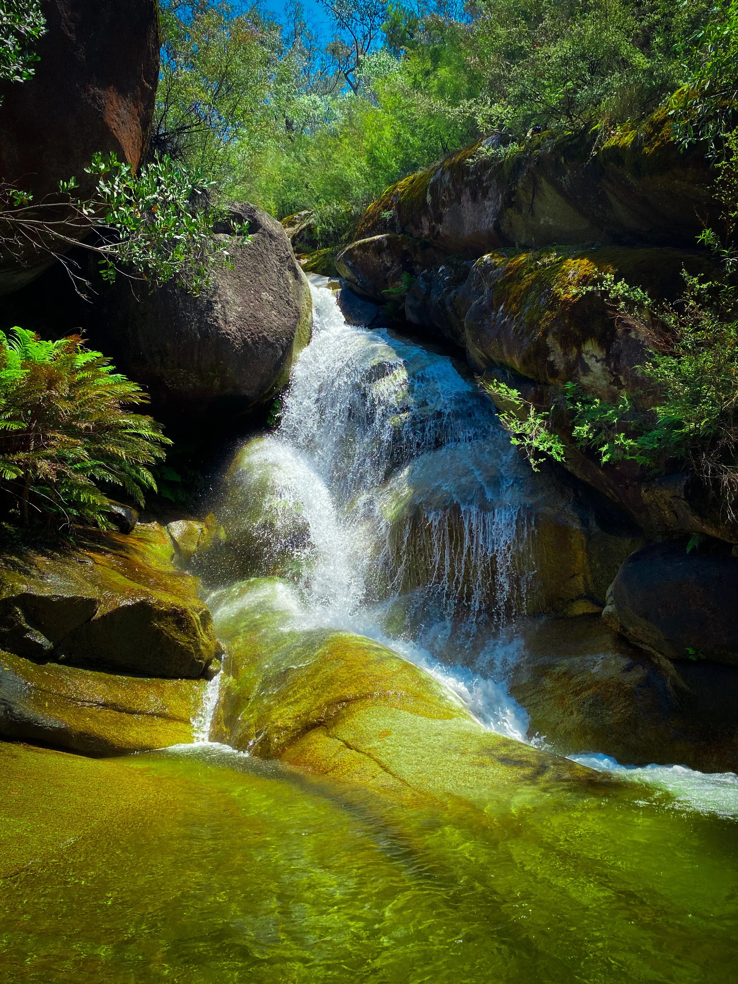Ladies Bath Falls (Mt Buffalo) (1)