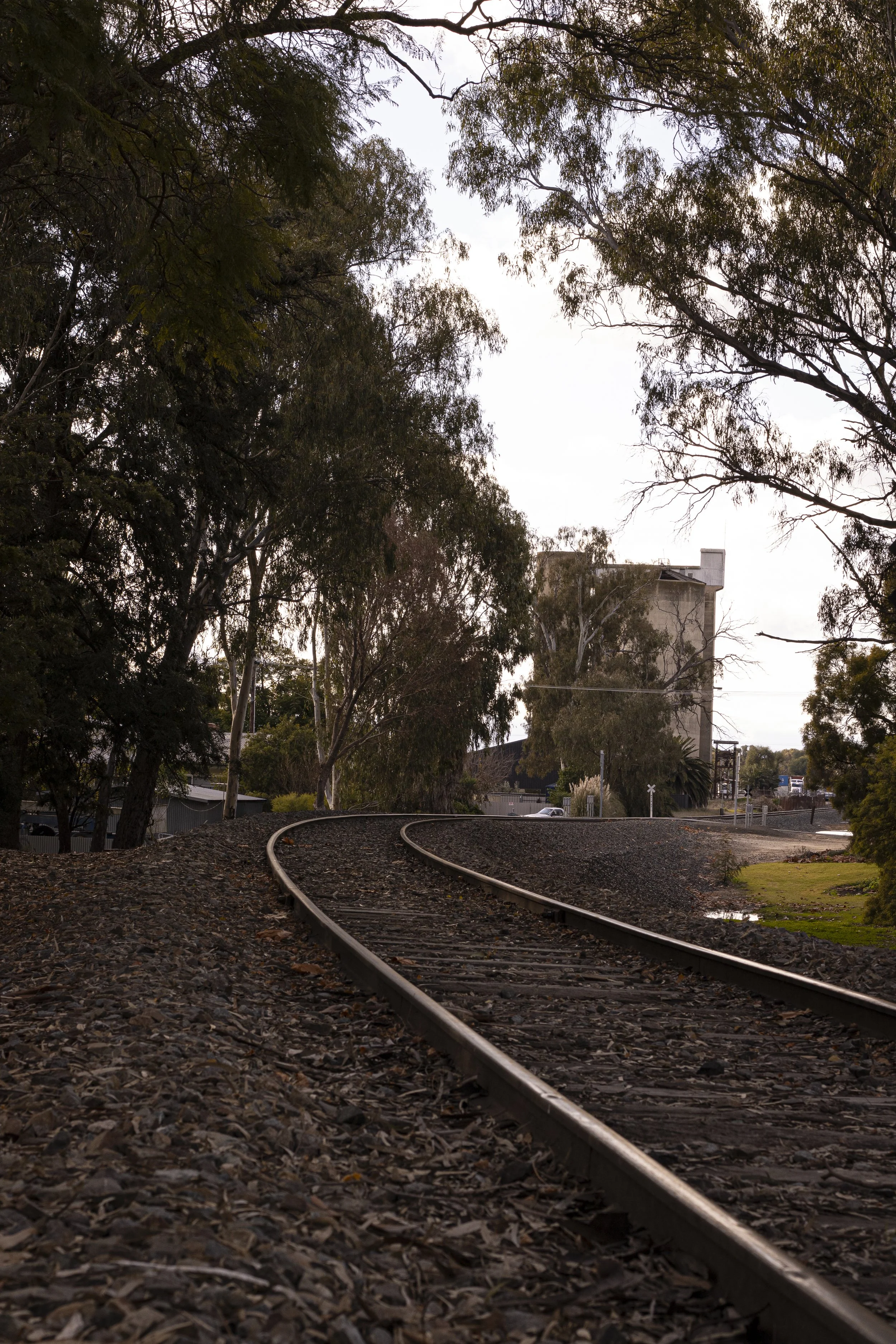 Tocumwal Train Line