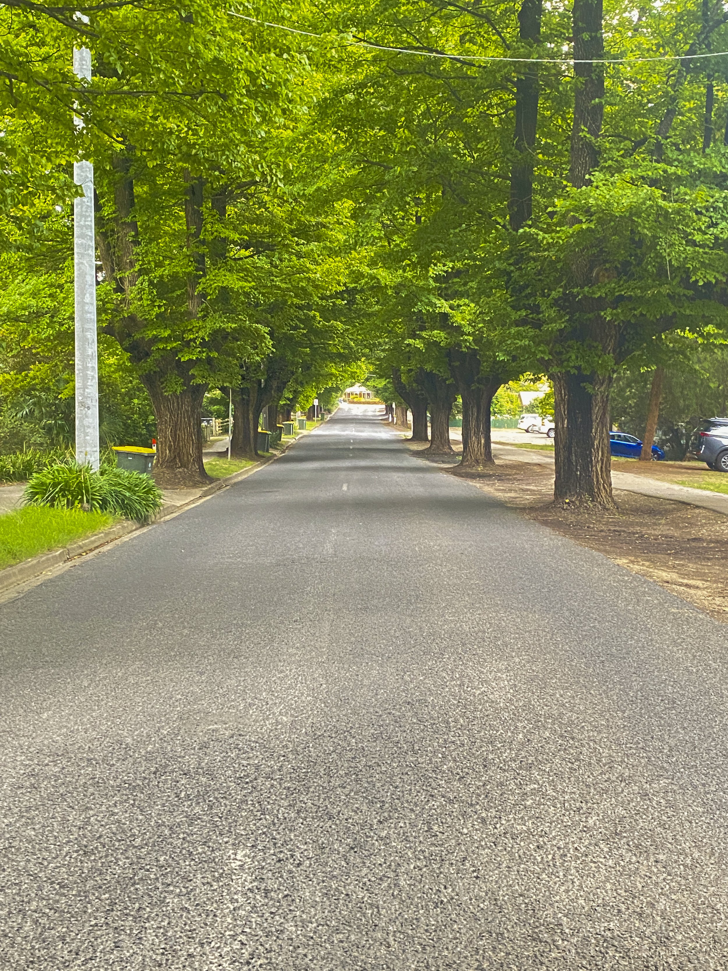 Cobden Street (Bright)