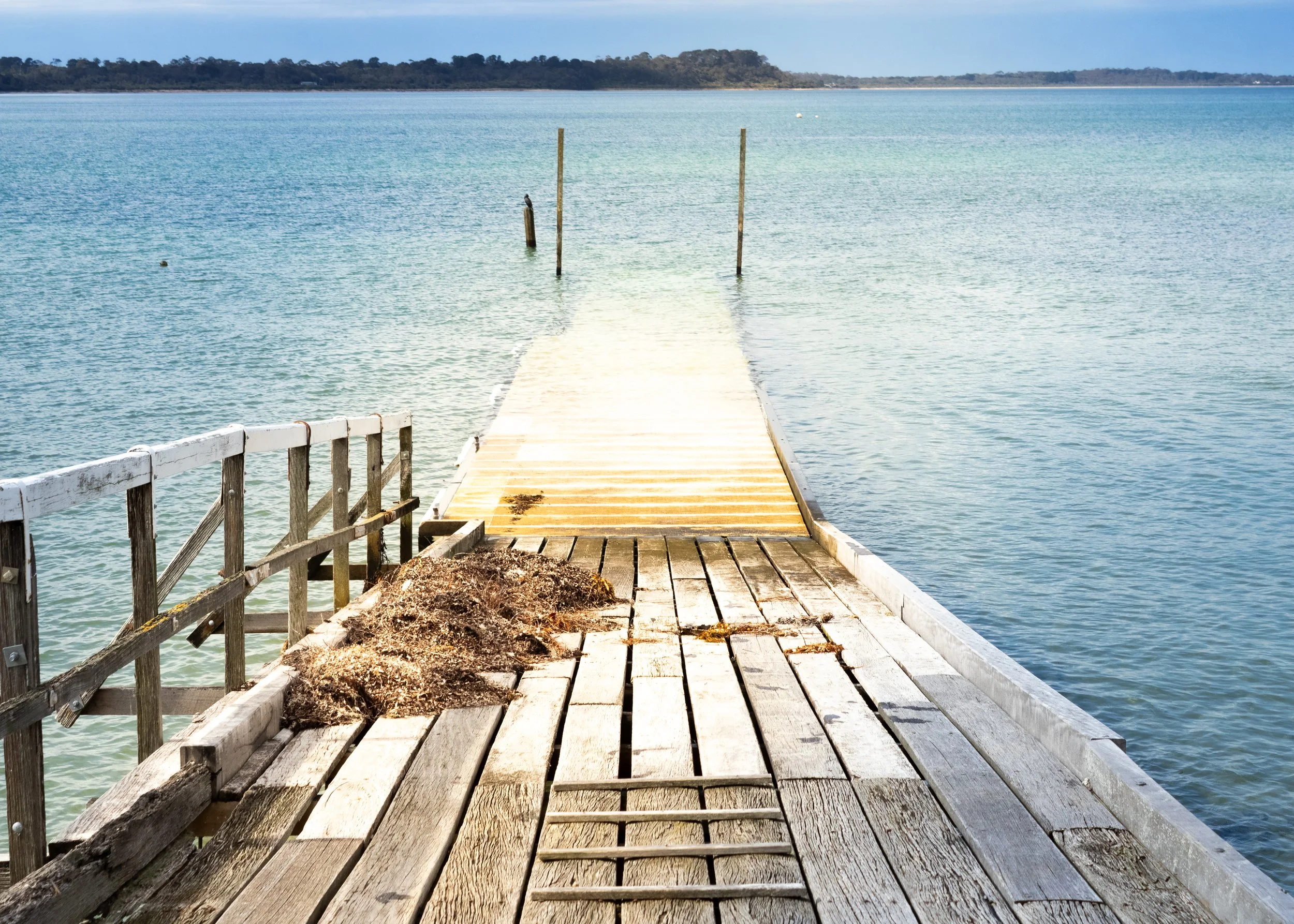 A weathered wooden dock extends into a calm, blue-green body of water, with a small platform at the end and overgrown seaweed on the pier, under a clear sky.