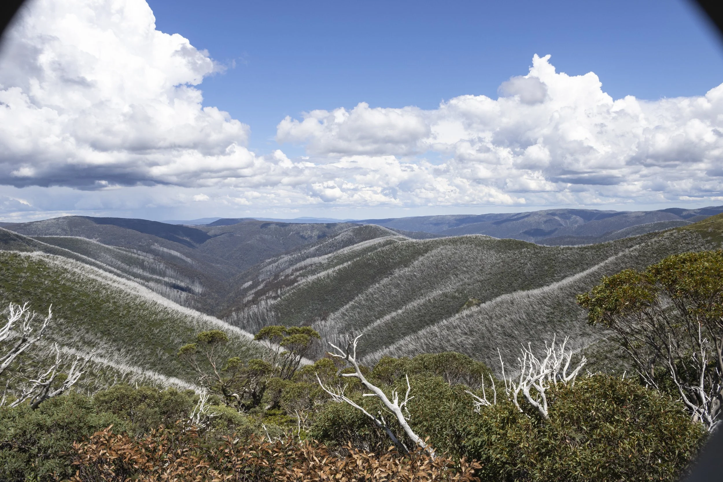 Avalanche Gully (Mt Hotham) (1)