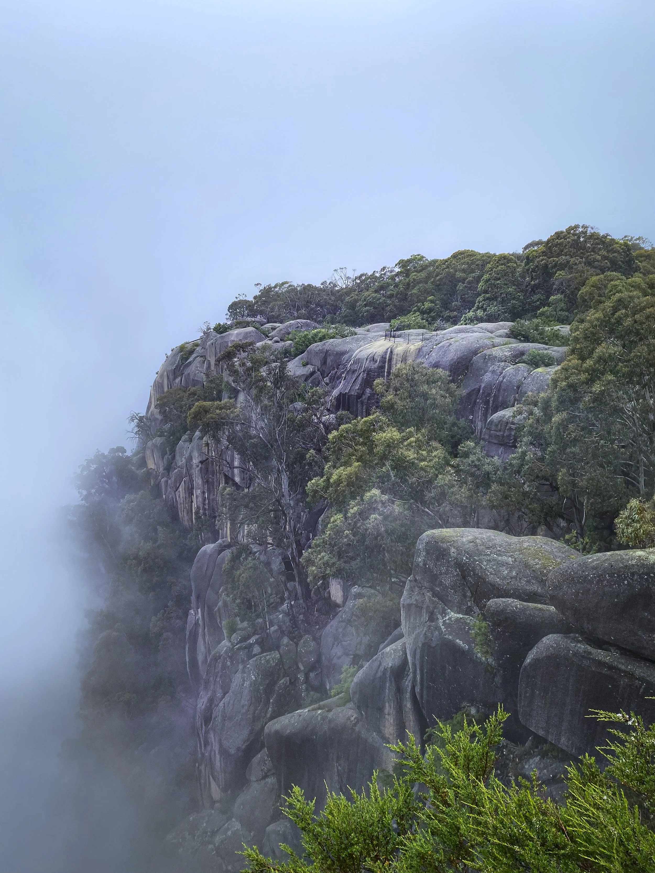 A misty view of rocky cliffs and dense green trees on a mountain.
