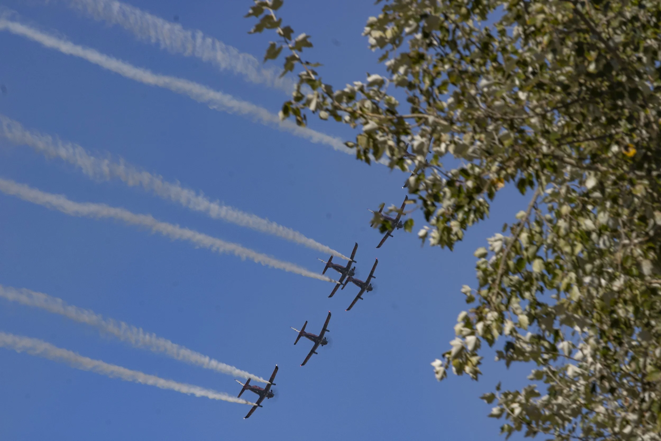 Five airplanes flying in formation in the sky, leaving white contrails behind, with a blue sky and some trees with white blossoms in the foreground.