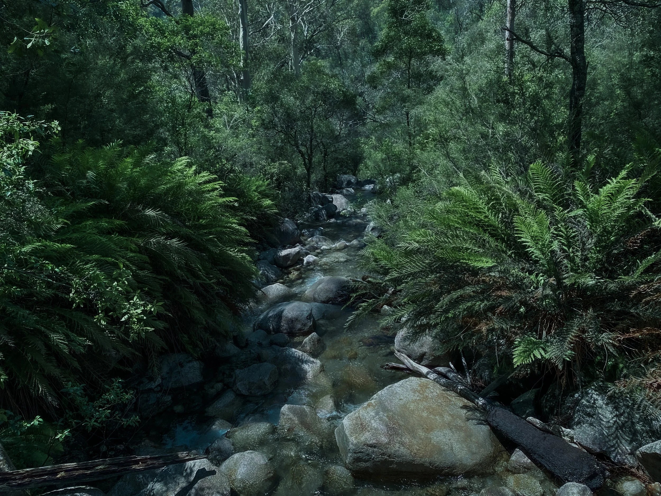 Ladies Bath Falls (Mt Buffalo) (4)