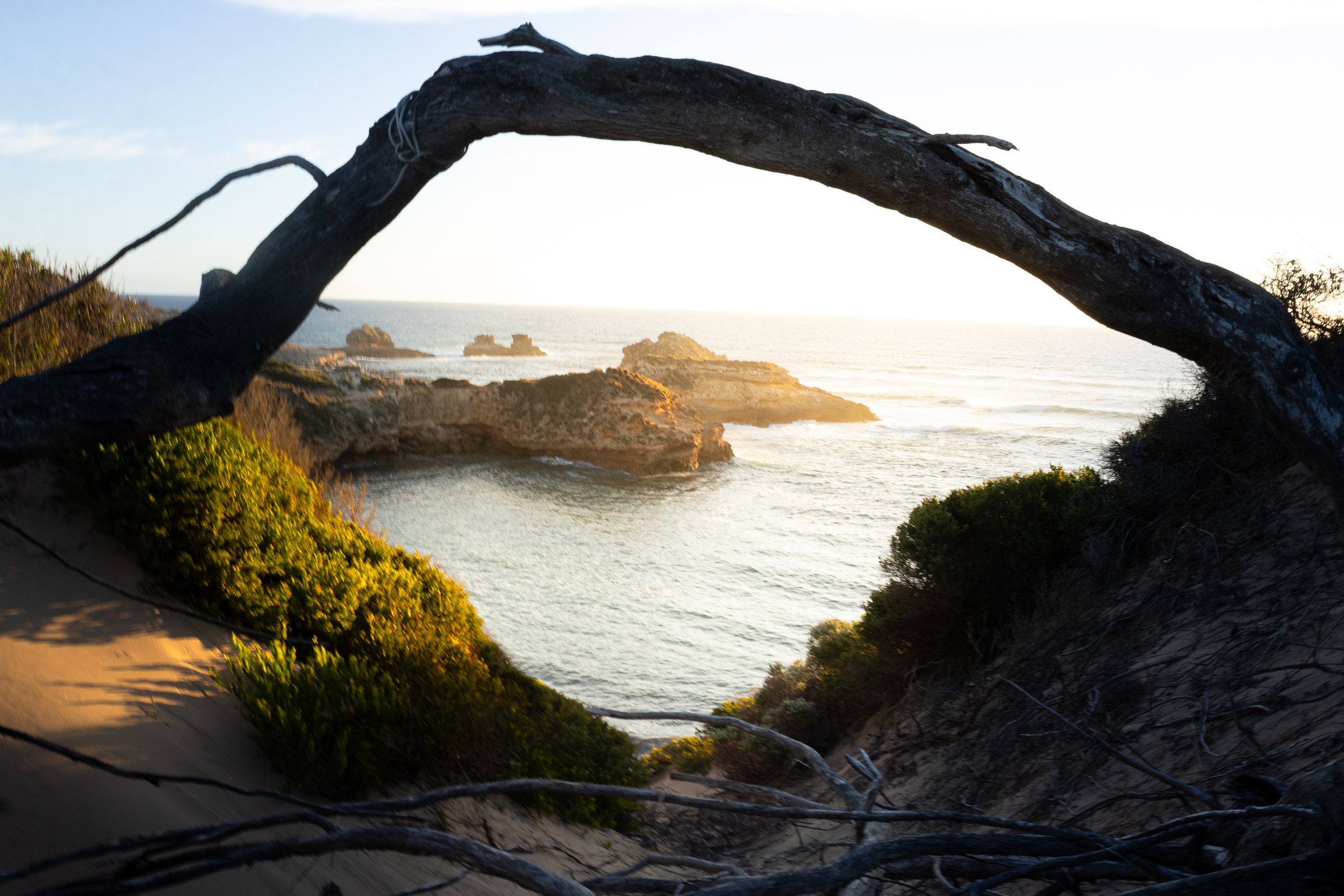 A coastal landscape viewed through a fallen tree arch, with sand dunes, green bushes, and rocky islands in the ocean at sunset.