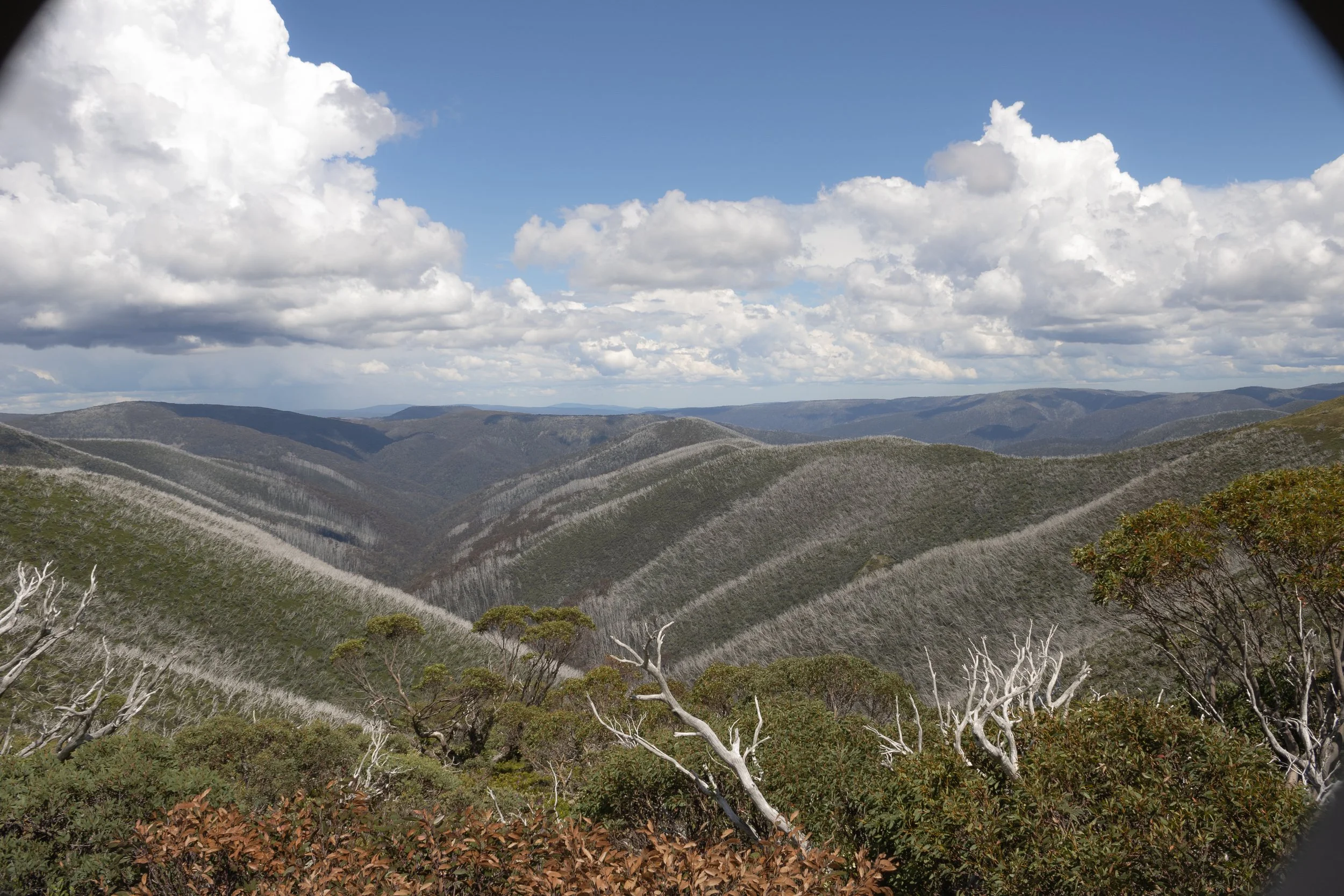 Scenic view of mountain valleys with some trees and clouds in the sky
