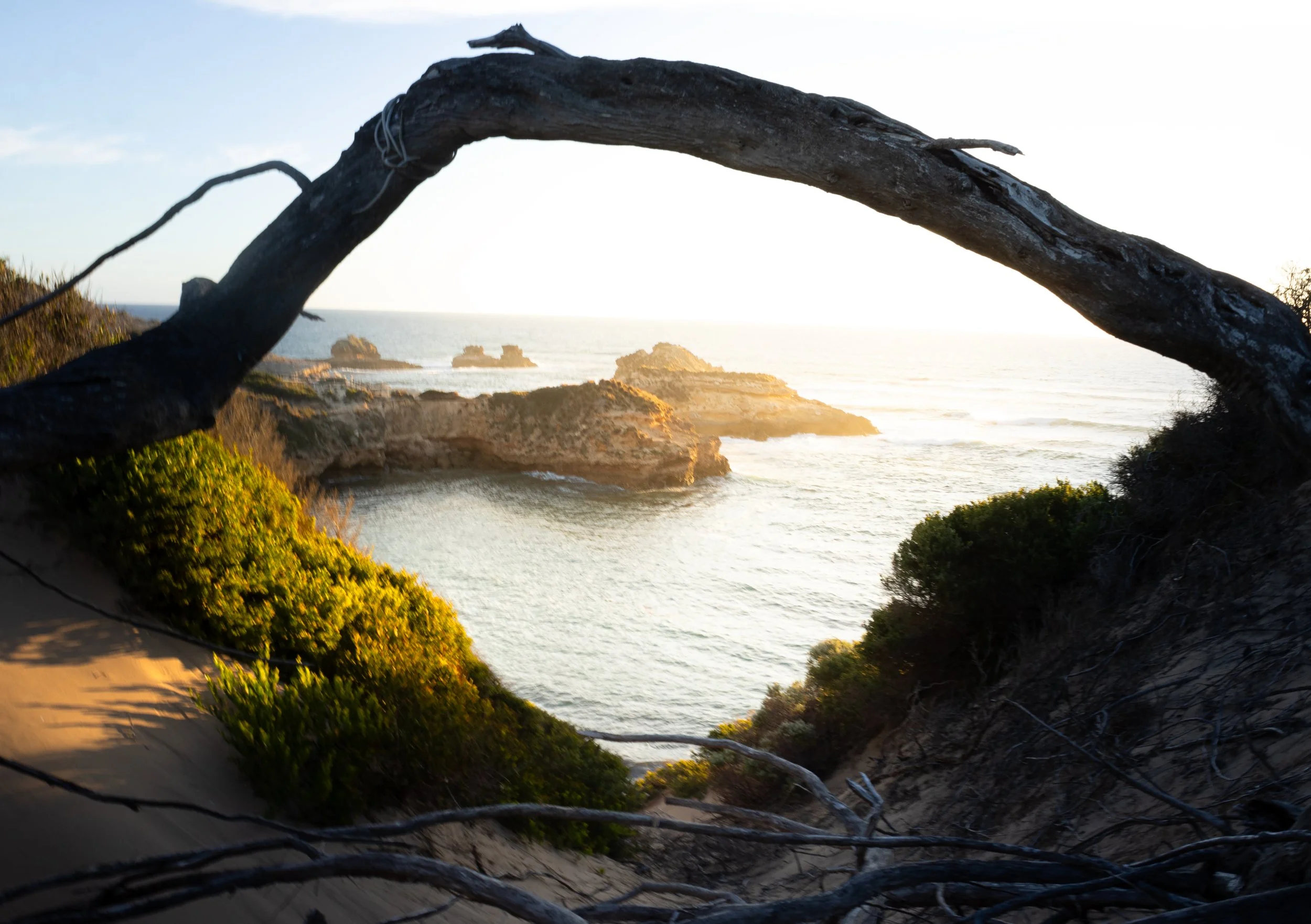 View of a coastal area with rocky cliffs and the ocean at sunset, seen through a natural arch formed by a fallen tree.