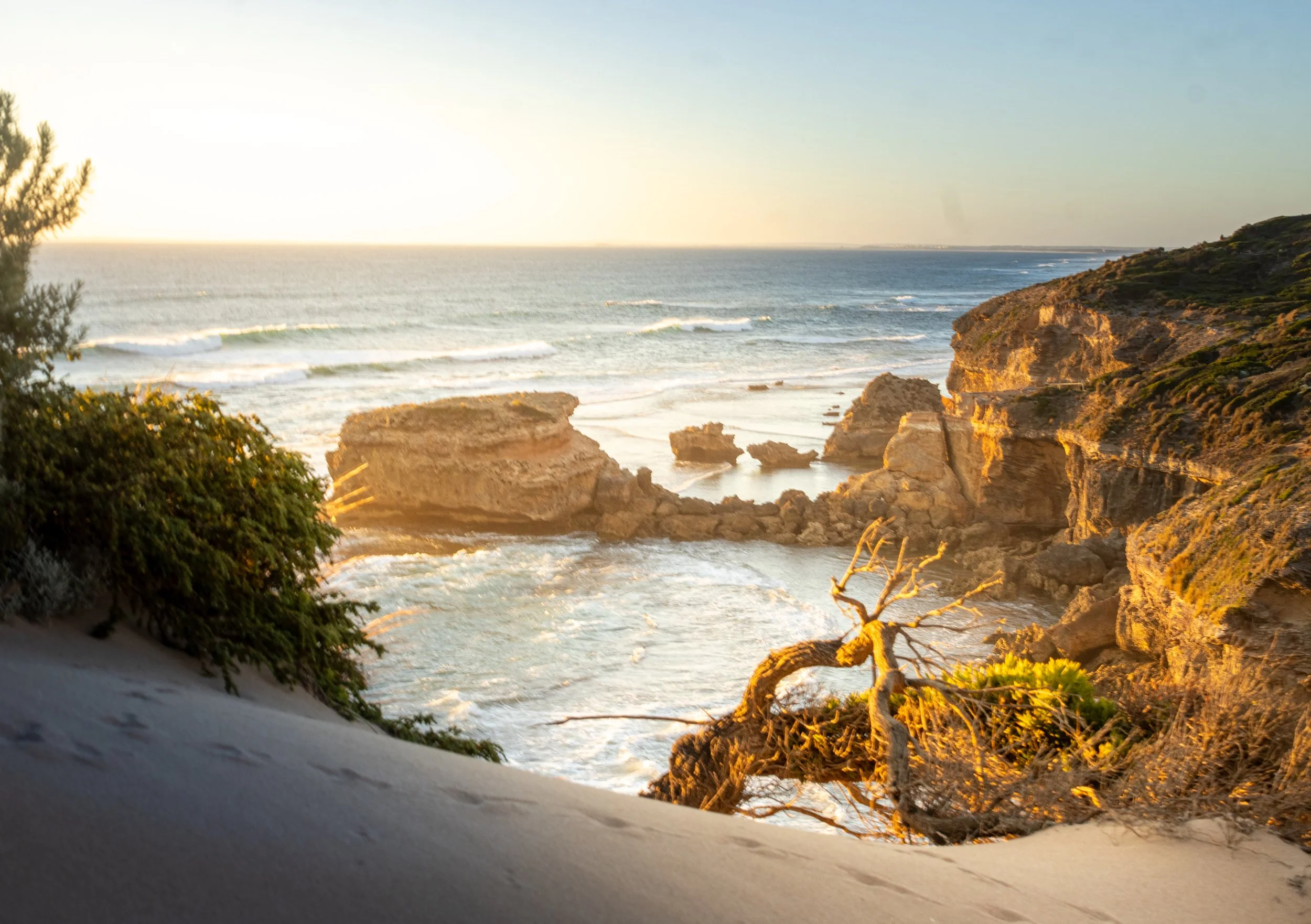 Sunset view of a rocky coastline with waves crashing, a driftwood tree in the foreground, and sparse green vegetation on the cliffs.